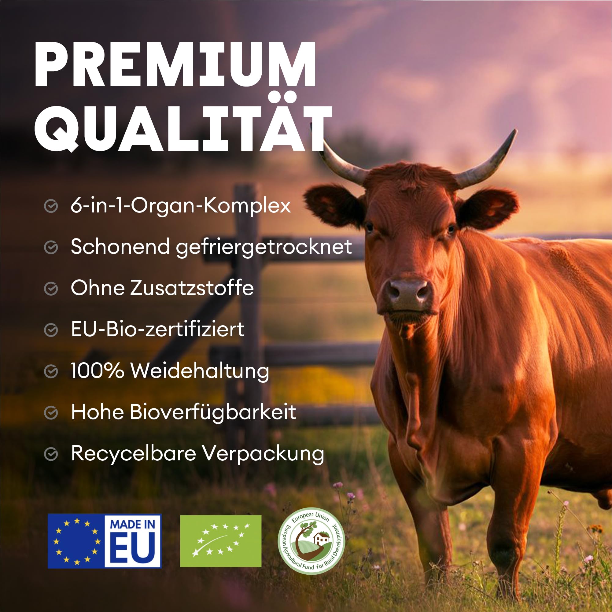Cápsulas de hígado de res Nutriest (240 cápsulas) complejo de órganos de res 6 en 1 Carne de res orgánica europea alimentada con pasto 100% criada en pastura - Para energía, inmunológico y vitalidad