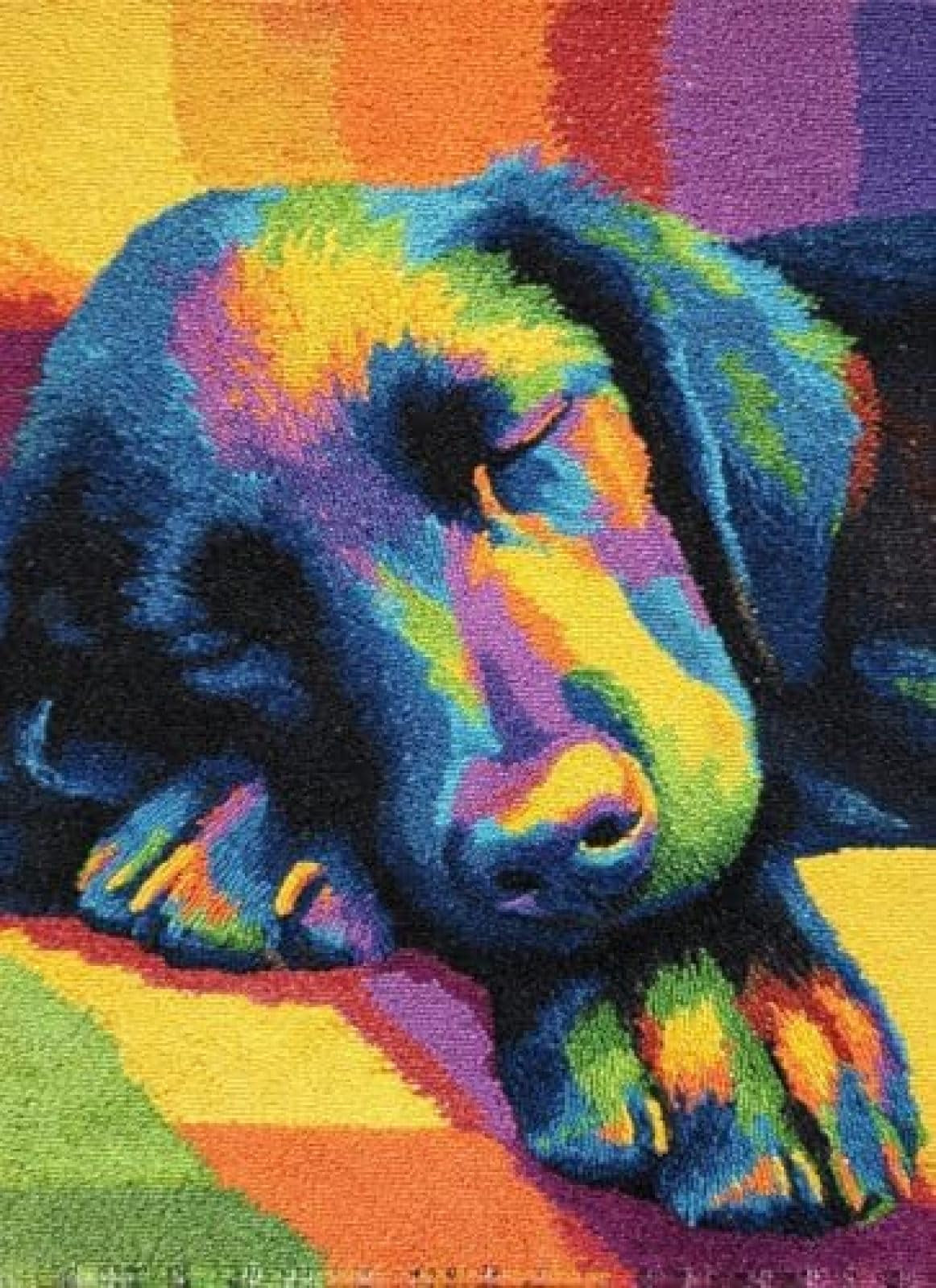 XDEGHUANGSS Latch Hook Rug Kit Flat-Coated Retriever Puppy Sleeping On Sofa Cushion Cover DIY Craft Set Pre-Printed Mat 38x52cm for Home Decor-2