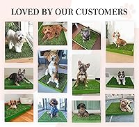 Vista 8 de DoggieLawn Almohadillas de Hierba Real para Orinar Cachorros - 24 x 20 Pulgadas - Caja de Arena Interior Perfecta para Perros - Sin Desorden, Fácil