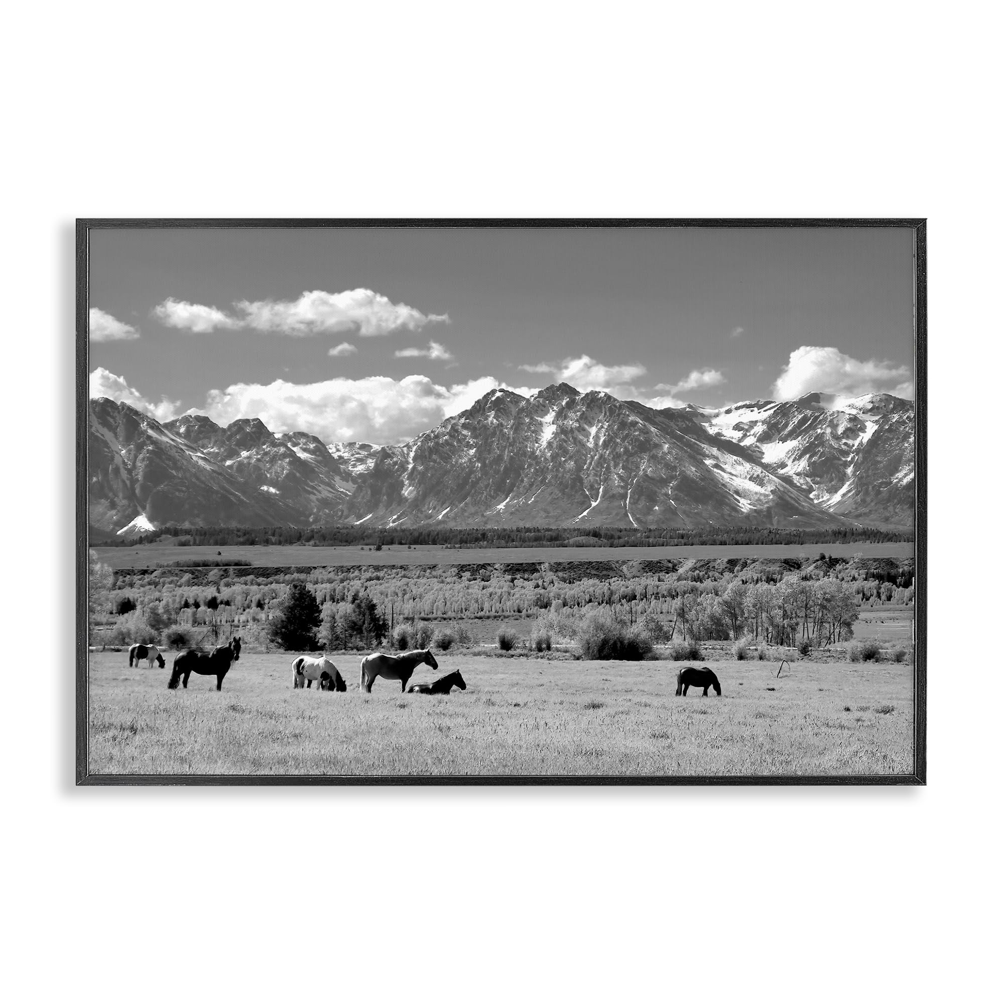 Stupell Industries Midnight Black (Textured) Wyoming Ranch Horses Grazing, 16 X 24 Inch Framed Giclée Print
