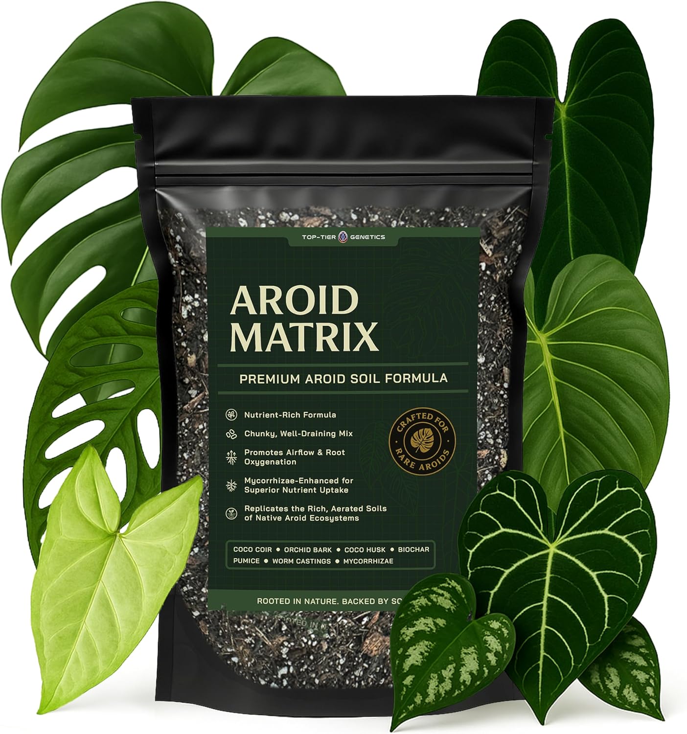 AROID Potting Mix/Premium Soil for Monstera, Philodendron, Alocasia, Anthurium – Chunky, Optimally Aerated Soil – Organic & Ready to Use – Supercharges Root and Foliage Growth (8 QTS)
