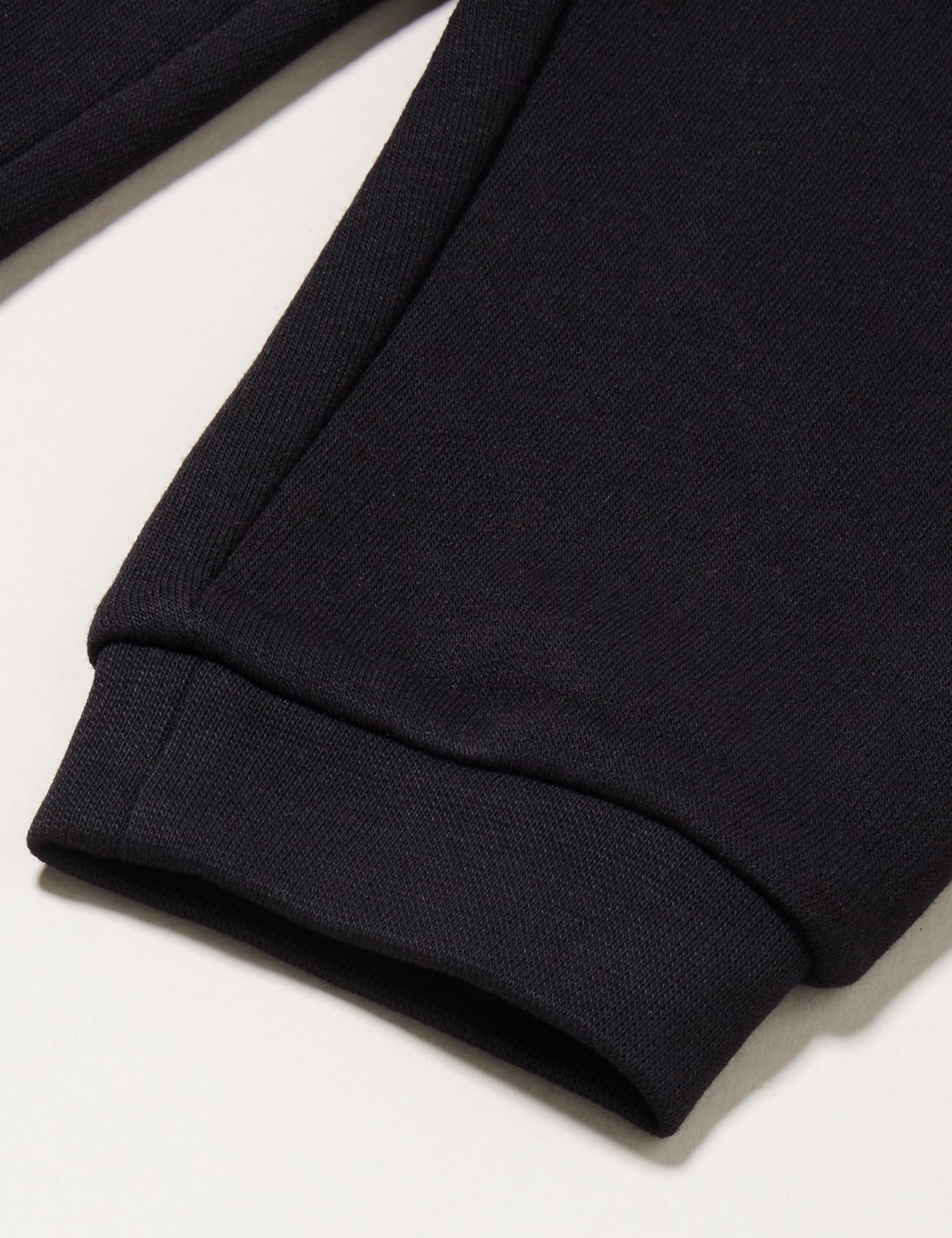 Champion Legacy American Classics TD-Bookstore Logo Ultralight Powerblend Fleece Crewneck Completo Bimba