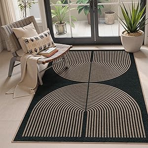 Lahome Modern Rainbow Easy Jute 4x6 Rug, Outdoor Patio Rug for Living Room Washable Black Carpet for Bedroom, Contemporary Non Slip Non Shedding Floor Carpet for Office Backyard 4' x 6' (Rec
