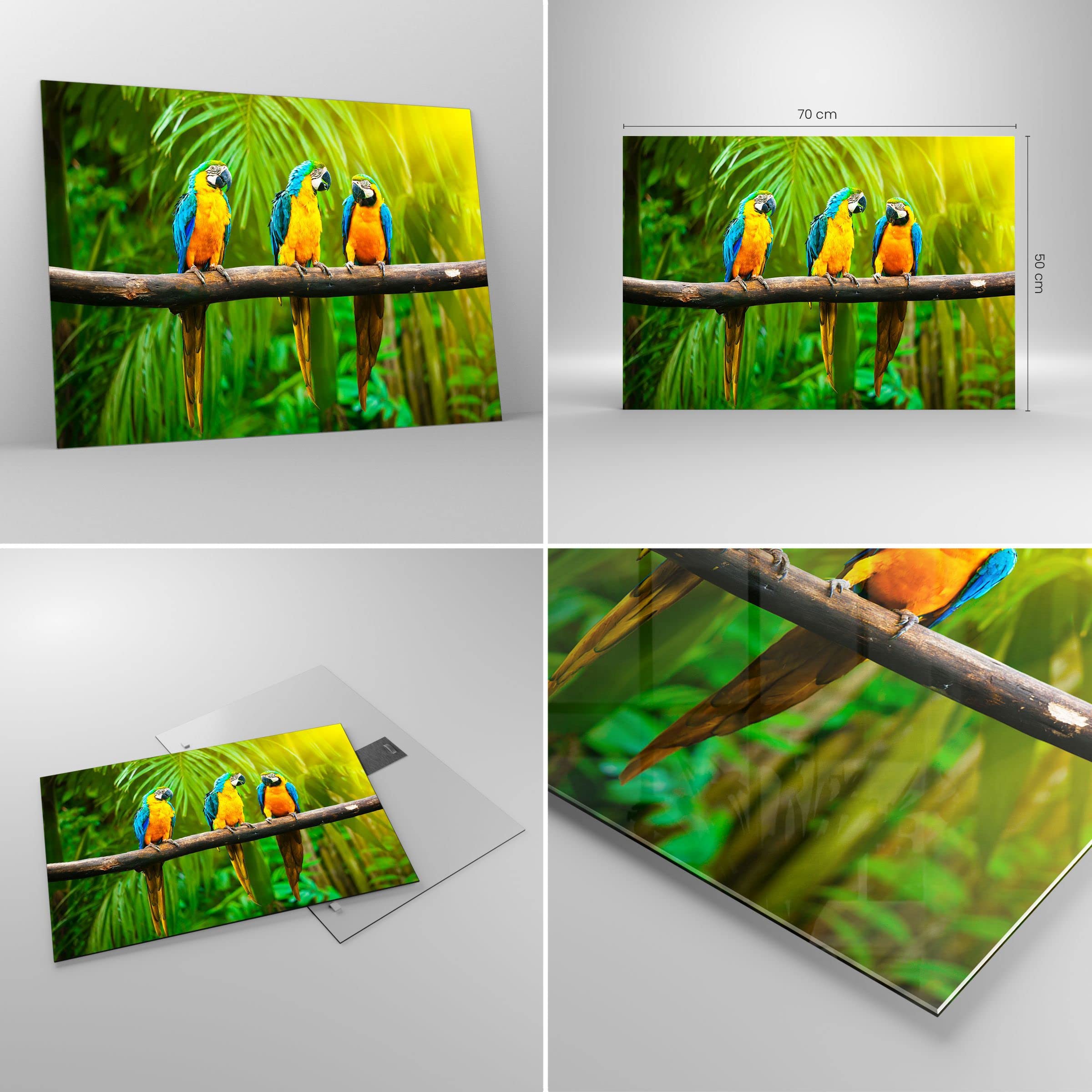 Cuadro sobre Vidrio 70x50cm Moderno Horizontal Botánica Naturaleza - 2696 | Loros Vistoso Cuadro Decorativo Arte mural Salón Dormitorio Cocina Cuadros de Pared Impresión en Cristal Glasprint ARTTOR