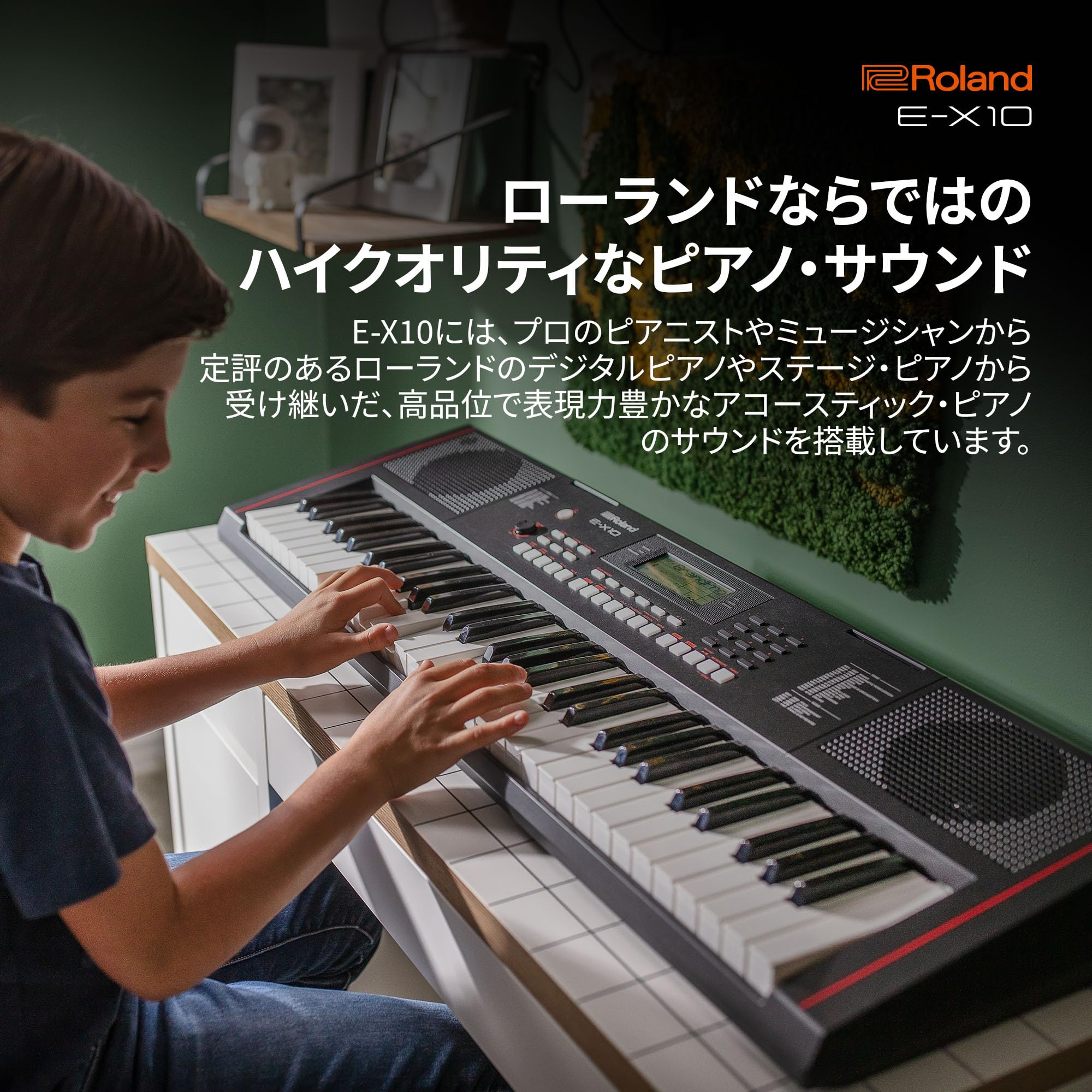 Amazon.co.jp: Roland ローランド 電子キーボード E-X10 アレンジャー