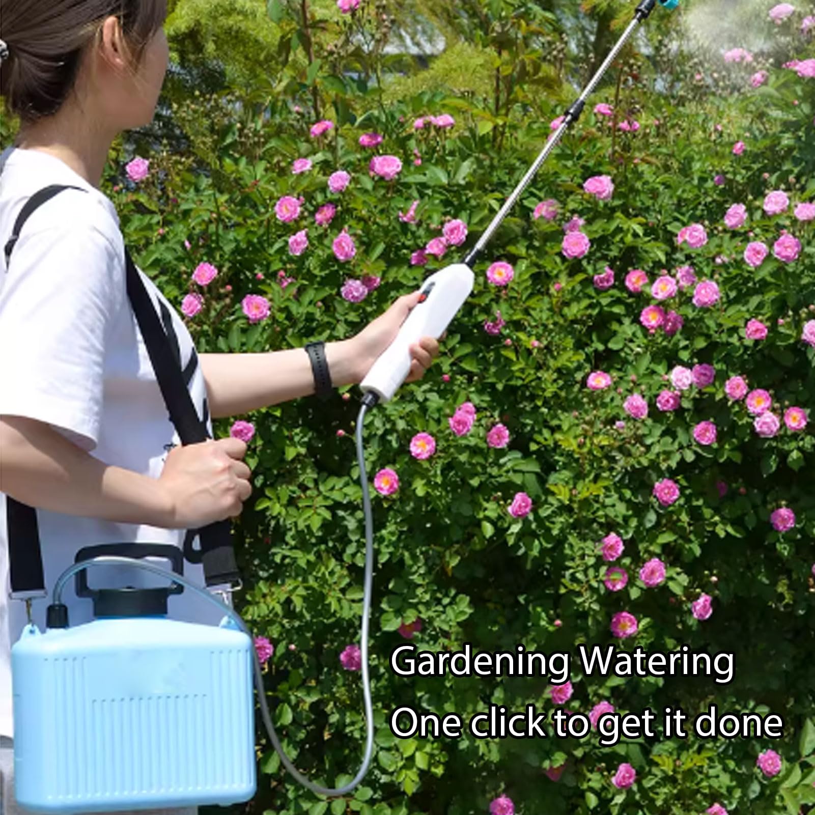 Spruzzatore Alimentato a Batteria, Spruzzatore da Giardino Ricaricabile da 10 Litri 2400 MAh, Pompa Elettrica dell'acqua con 2 velocità 3 Ugelli Bacchetta Estensibile Cinghia Regolabile per