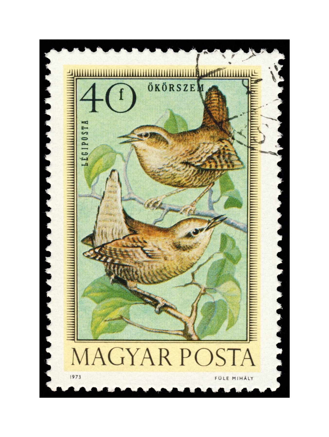 Wee Blue Coo Postage Stamp Hungary 40 Forint Bird Wren Jenny Wall Art Print
