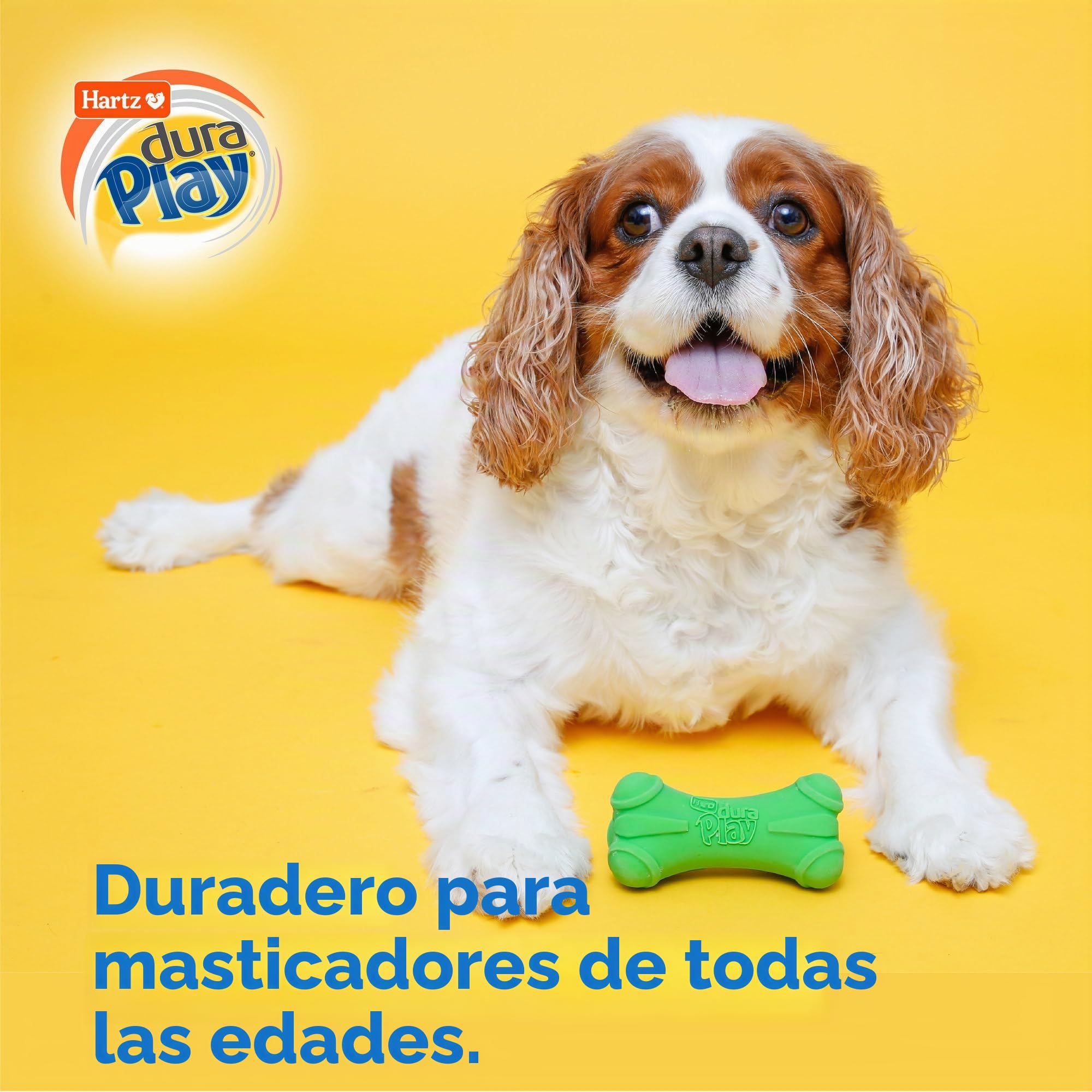 Hartz DuraPlay - Juguete de látex chirriante para Perros de Razas Medianas, Paquete de 3