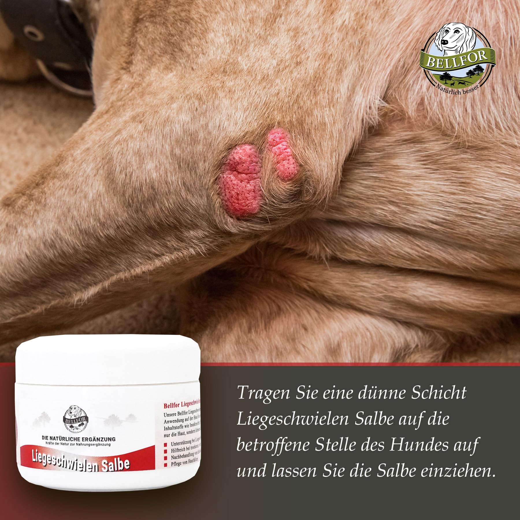 Bellfor Liegeschwielen Salbe für Hunde mit Insektenfett – 30 ml. Natürliche Pflege für Liegeschwielen, trockene Haut und Hautfalten. Beruhigt, schützt und unterstützt die Hautregeneration.