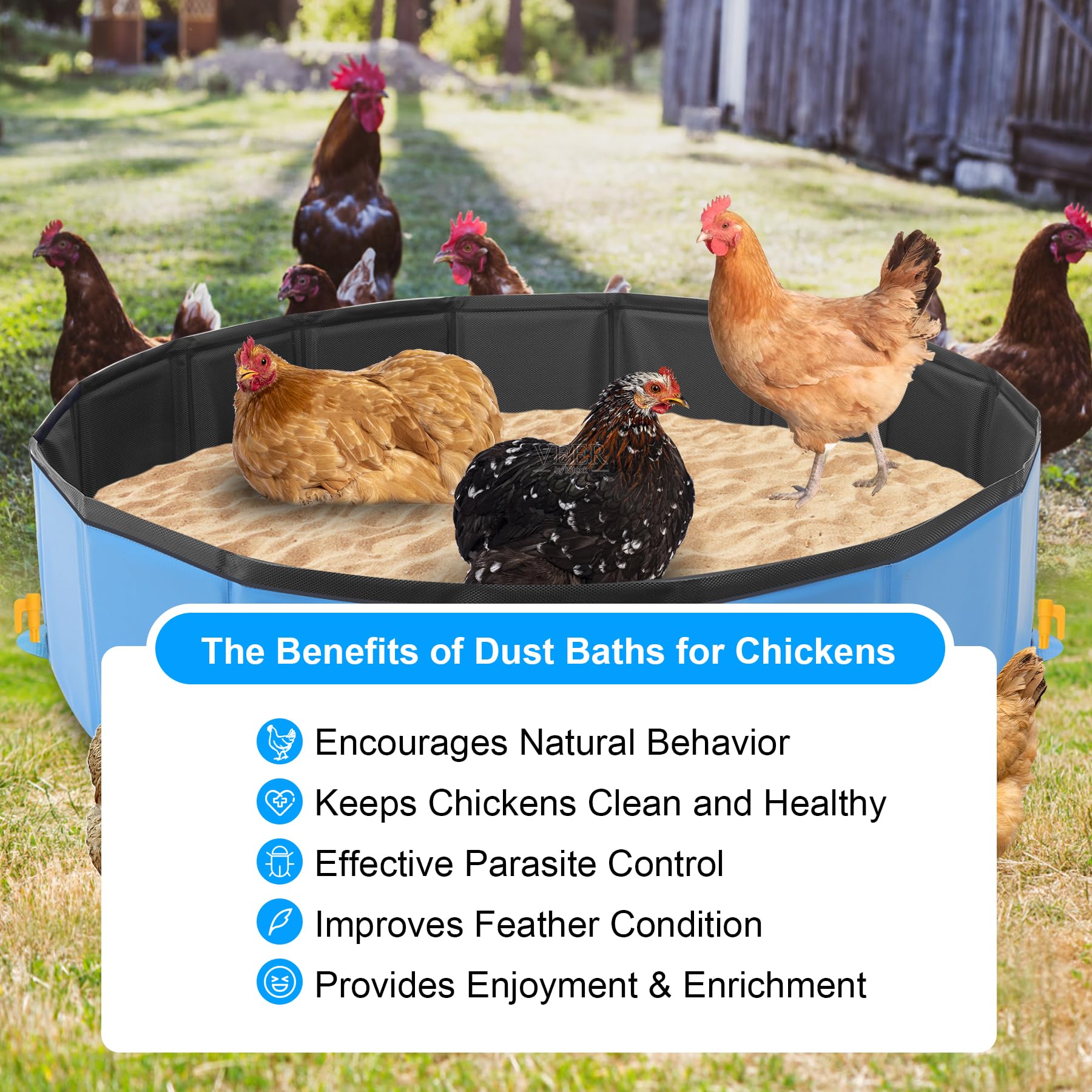2-Pack Large Chicken Dust Bath Tub – 36.4” Dia X 5.5” H Bottomless Plastic Pool For Coop Cleaning & Cooling