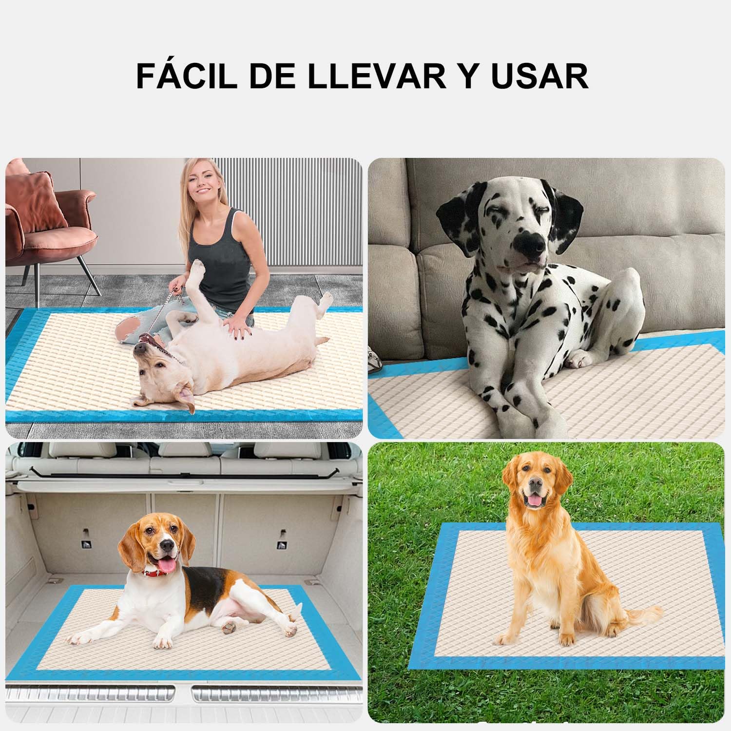 Gardner Pet Empapadores Perros Grandes 70x85 cm-30 Piezas | Súper Absorbentes, Prueba de Fugas, Secado Rápido, Meadero para Perros en Casa