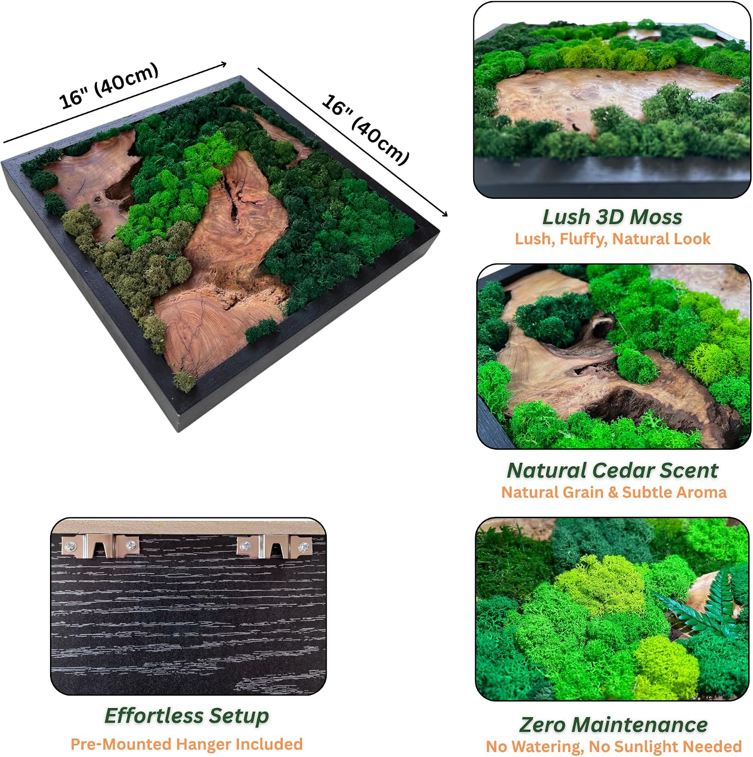 Serenzy 16" Square Cedar & Preserved Moss Wall Art | Unique No-Maintenance Decor for Home, Office, Restaurant, Diagonal Wood Pair