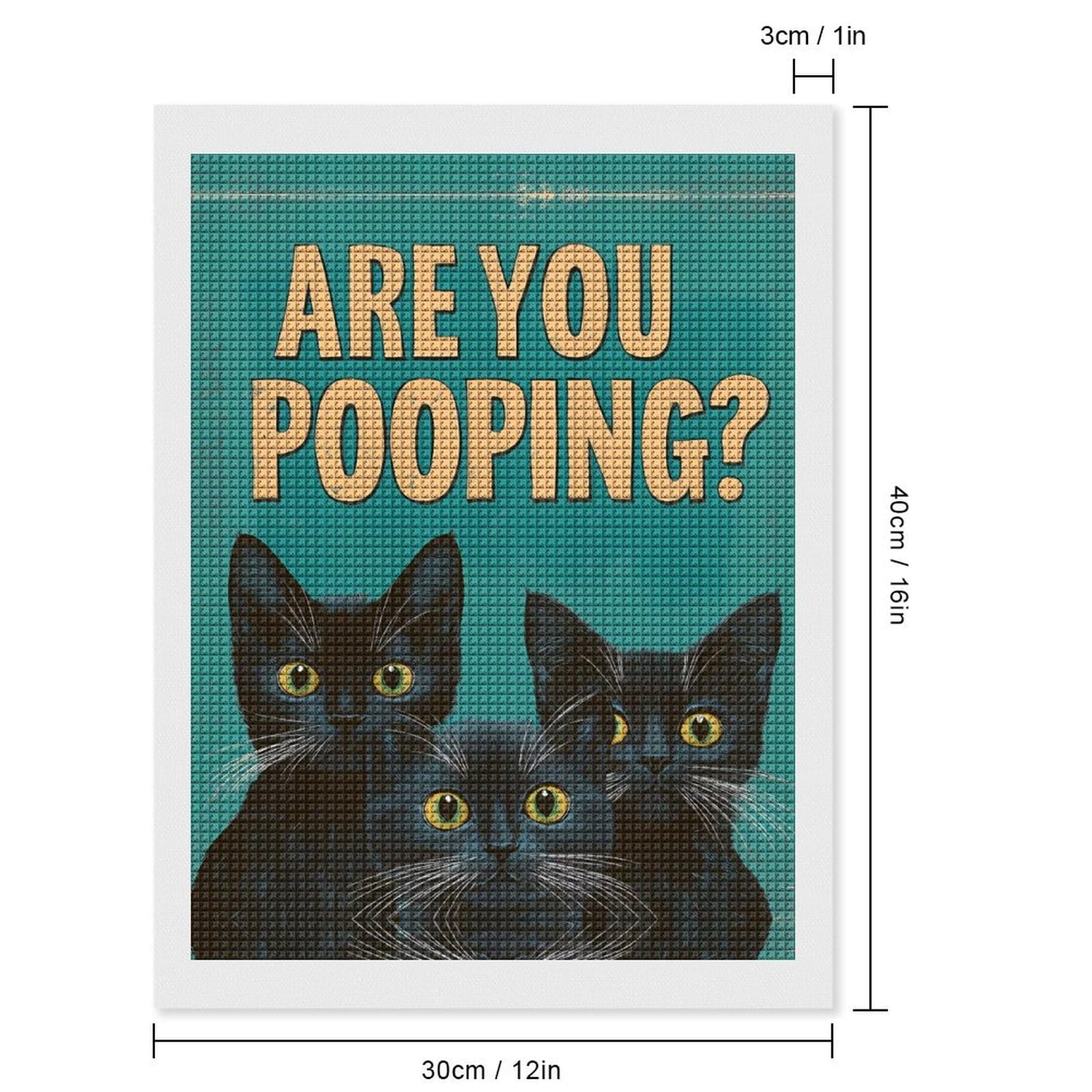 Black Cats are You Pooping Square Diamond Painting Kits 5D DIY Full Drill Rhinestone Arts Wall Decor for Adults 12