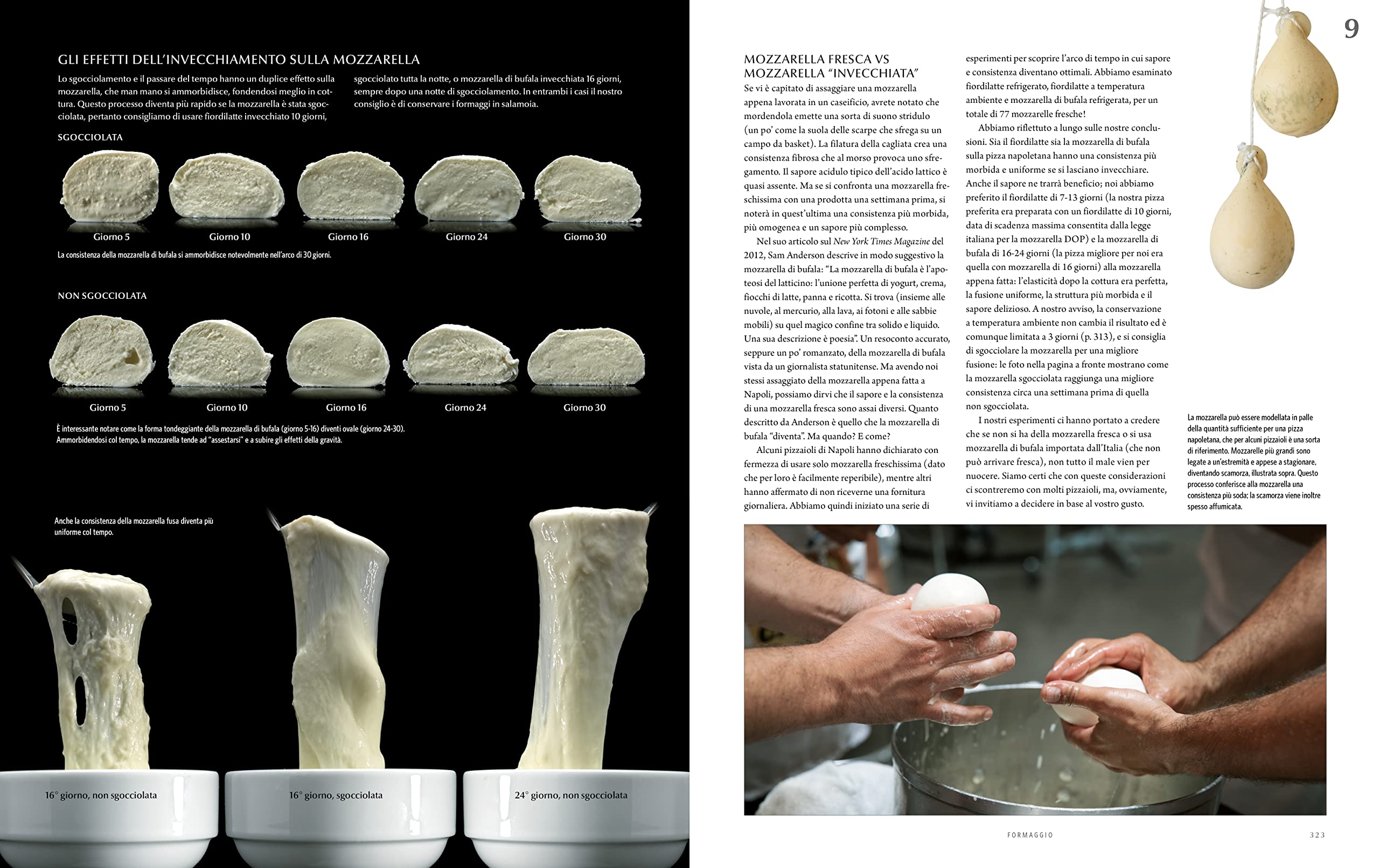 Modernist pizza. Ediz. italiana. Con manuale