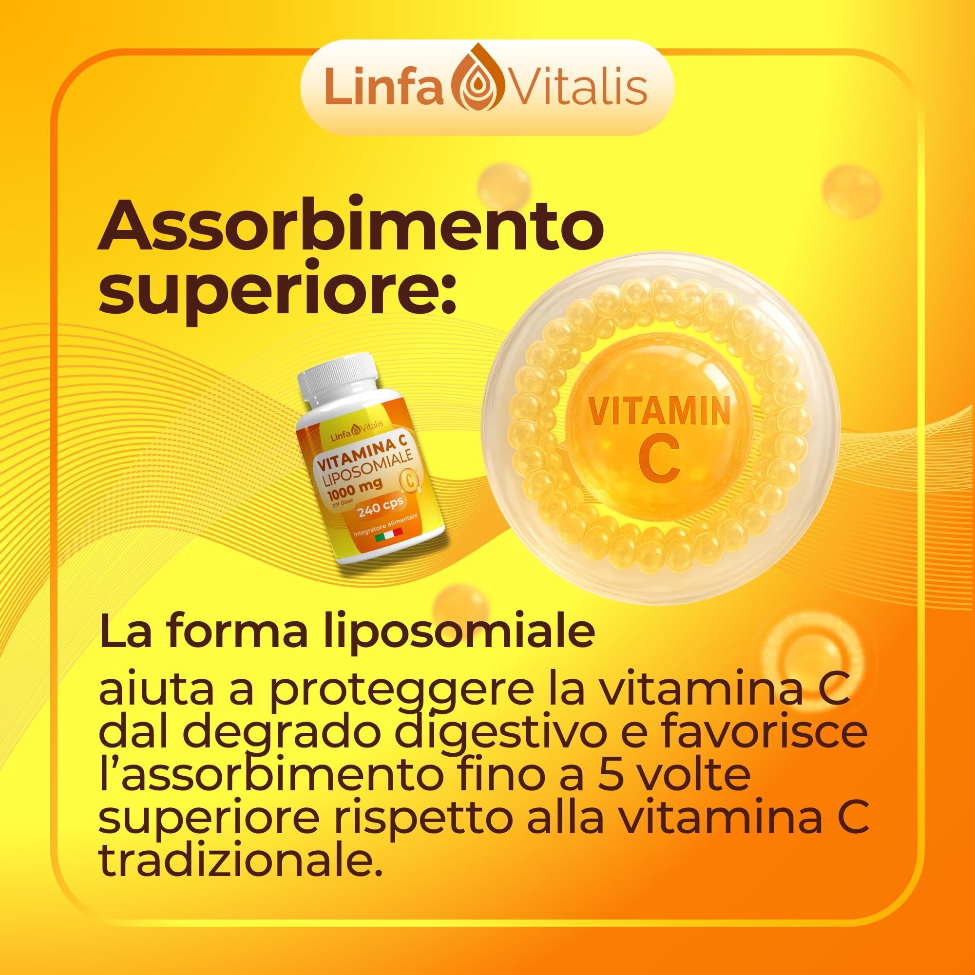 Vitamina C Liposomiale 1000mg Alto Dosaggio 240Cps Vegane (4 Mesi) - Contribuisce alla Riduzione della Stanchezza e Protezione dallo Stress Ossidativo