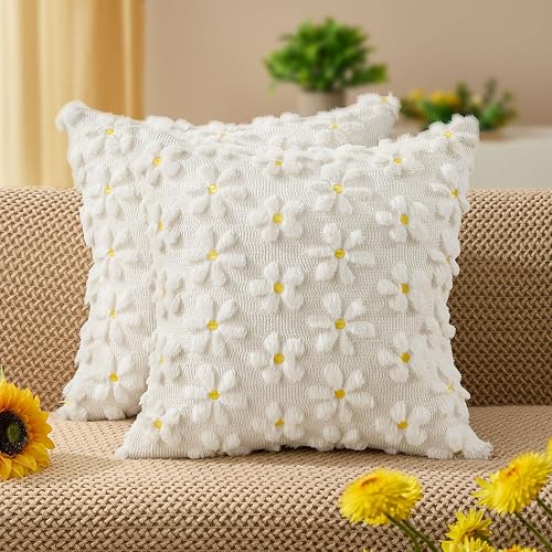 DFXSZ Spring Summer Pillow Covers 18x18 inch Set of 2
