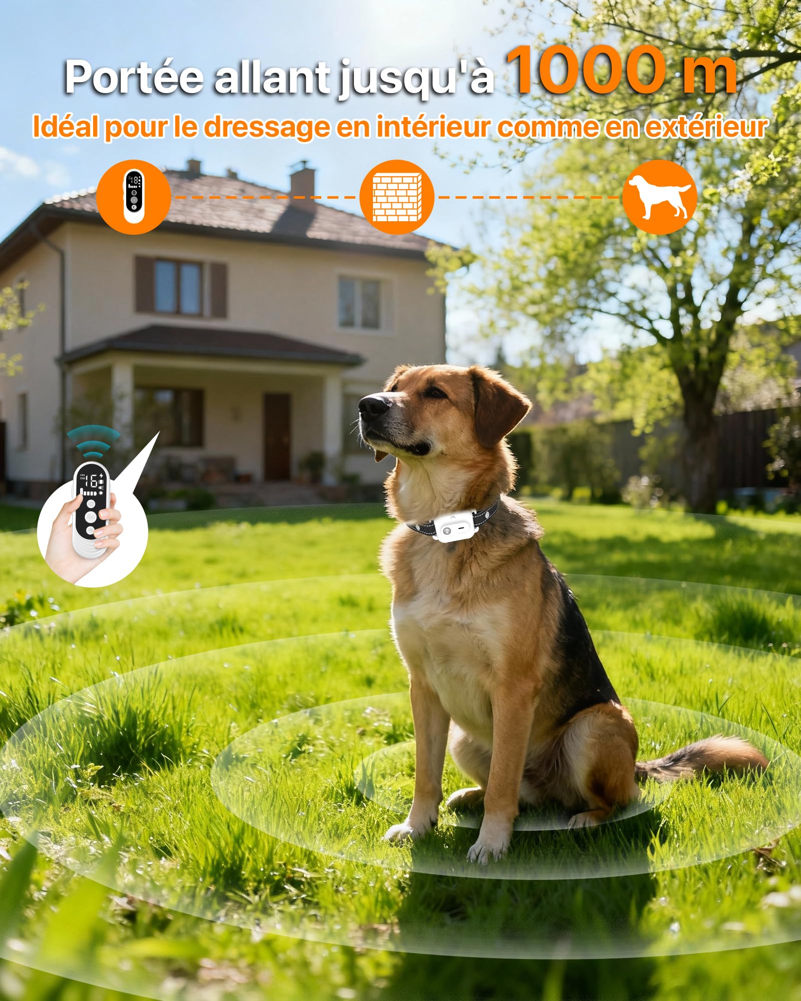 Collier De Dressage pour Chien,Collier Electrique pour Chien Portée de 3km,Mode Lumière Nocturne,1-50 Niveaux d’Entraînement, BIP Vibration Choc, Adapté à Tous Les Chiens,Étanche Rechargeable