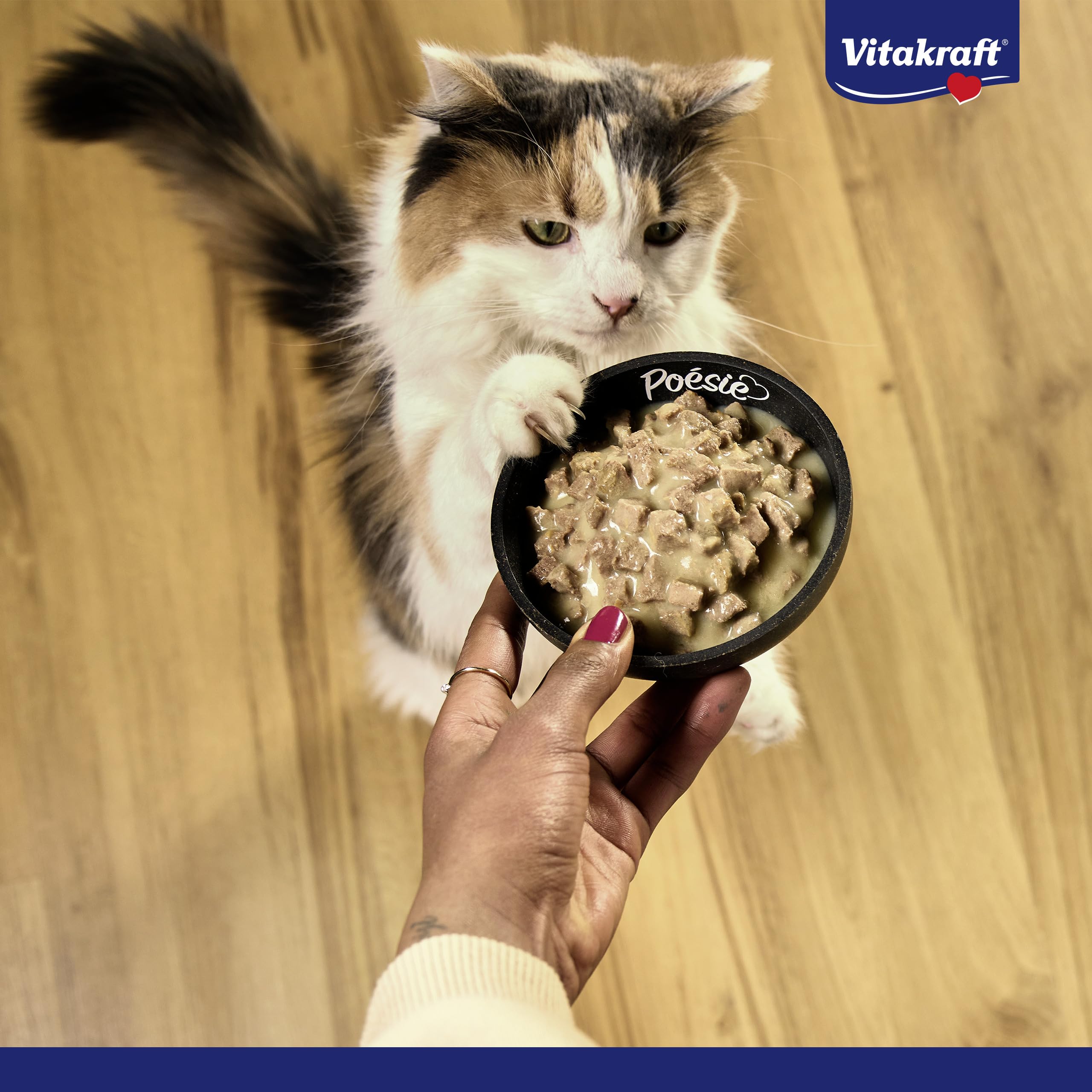 Vitakraft Poésie Classique, formato pack, comida húmeda para gatos, en salsa, con pollo, con pavo, con ternera, con salmón, sin azúcar añadido ni cereales (1 envase de 96x 85g)