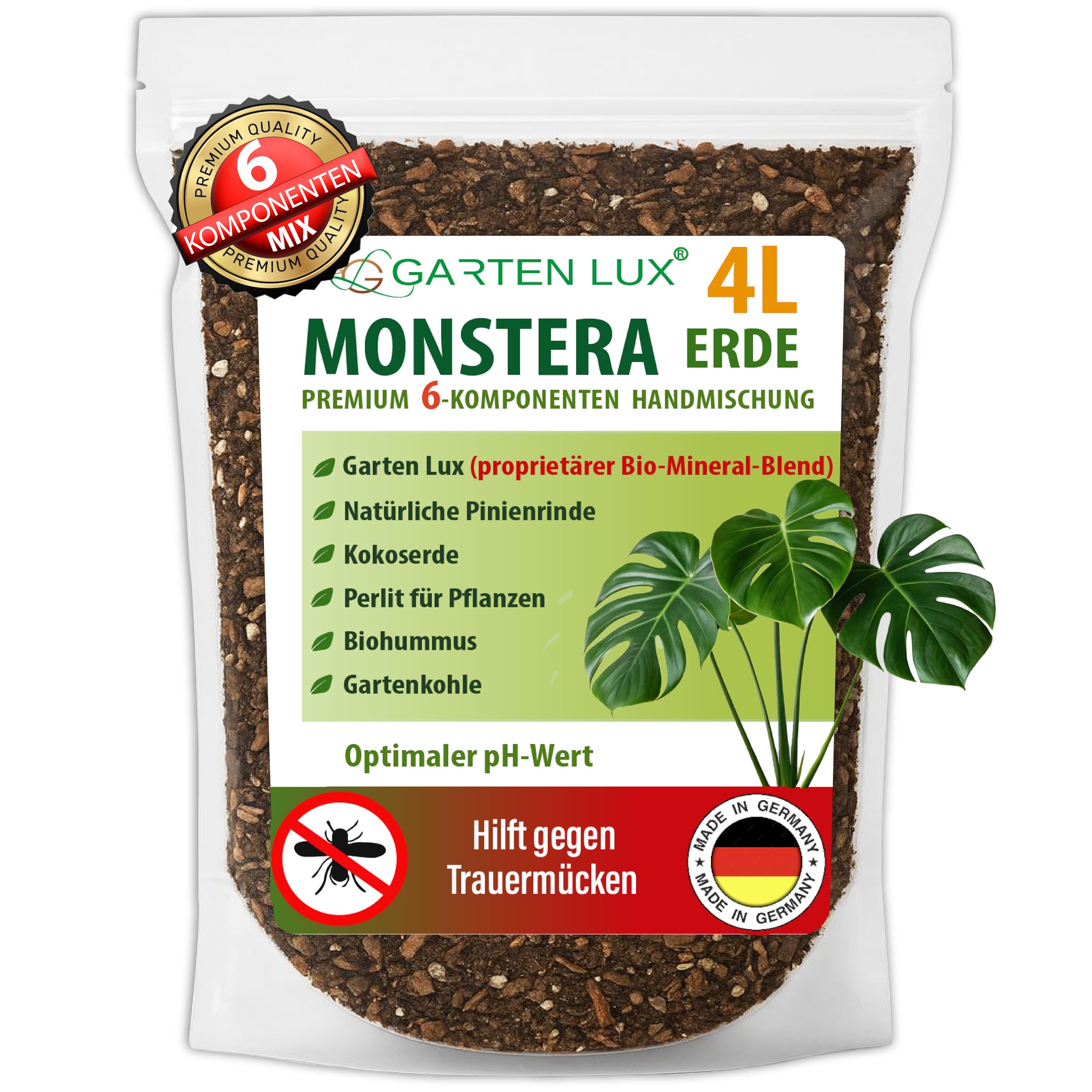 monstera monkey leaf dehner Monstera Monkey Leaf main image 0