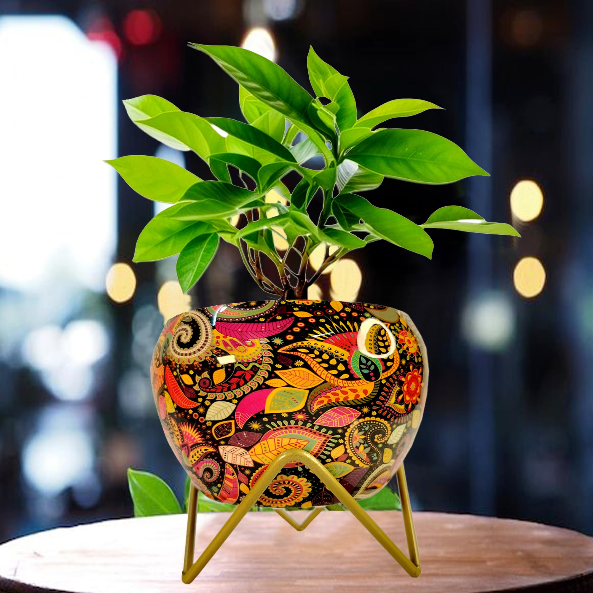 See full amazon price history chart for Hosue Decore Metal Flower Pot for Home Decoration, Flower Planter Table top, red Print Color Apple Shape Hosue Decore Metal Flower Pot for Home Decoration, Flower Planter Table top, red Print Color Apple Shape (B0D9TK76KF) Amazon Price History, Amazon Price Tracker