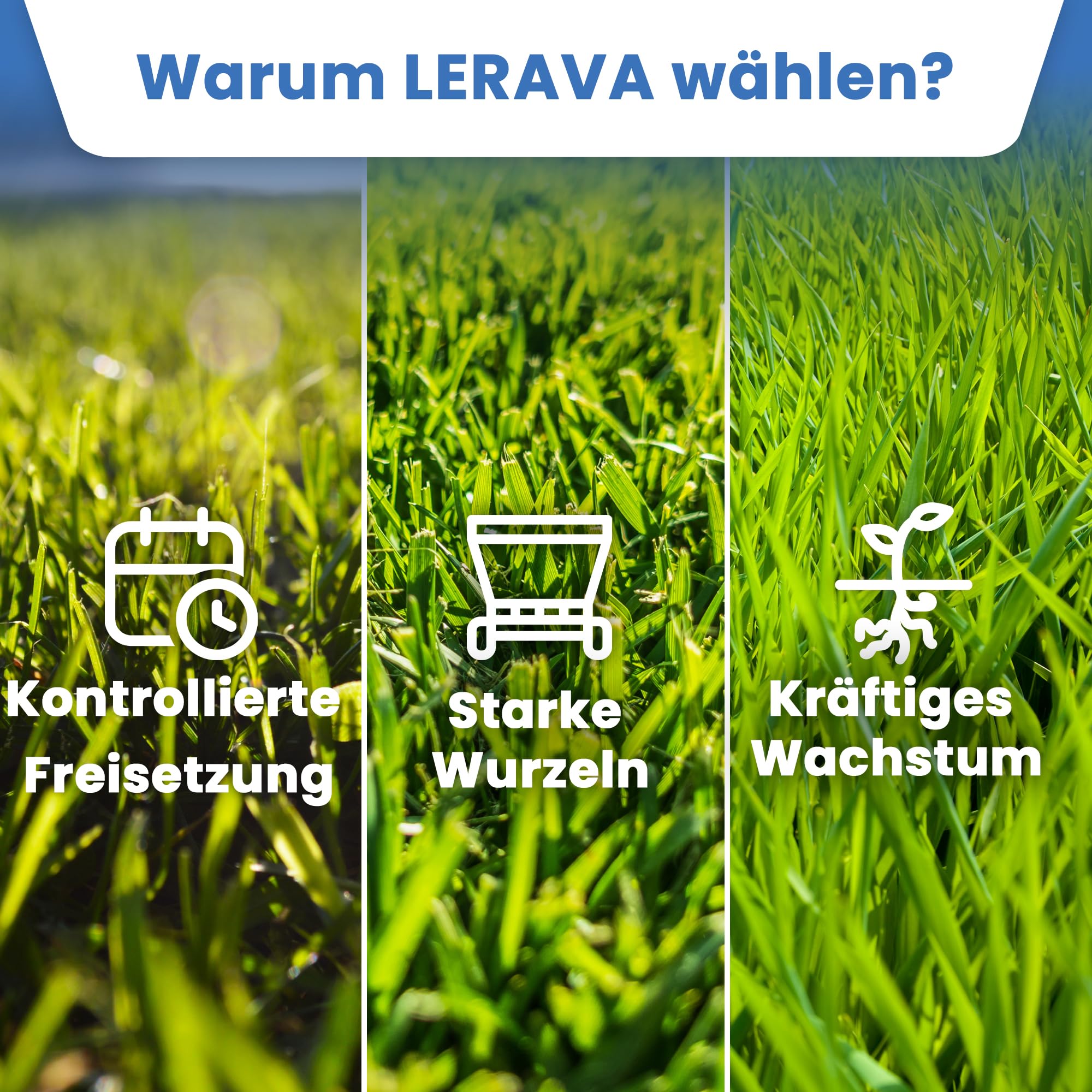 LERAVA Rasendünger Frühjahr (185m²) - Stickstoffdünger NPK mit Langzeitwirkung - Mineralischer Frühjahrsdünger für dichten grünen Rasen - Fördert Wachstum & Regeneration - Rasenpflege Dünger 4,6kg