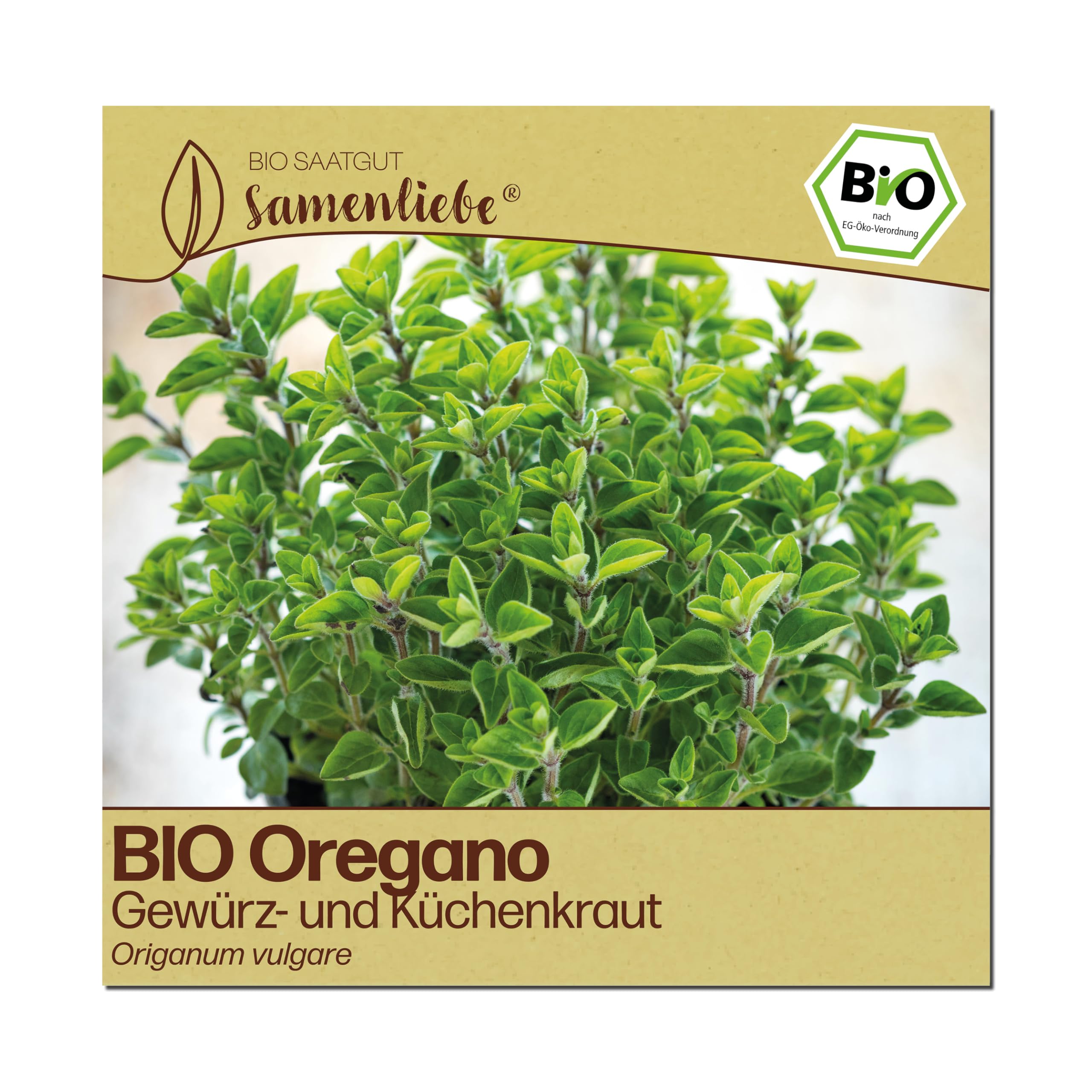 Samenliebe BIO Oregano Samen | Küchenkraut - winterhart & mehrjährig - samenfestes BIO Saatgut