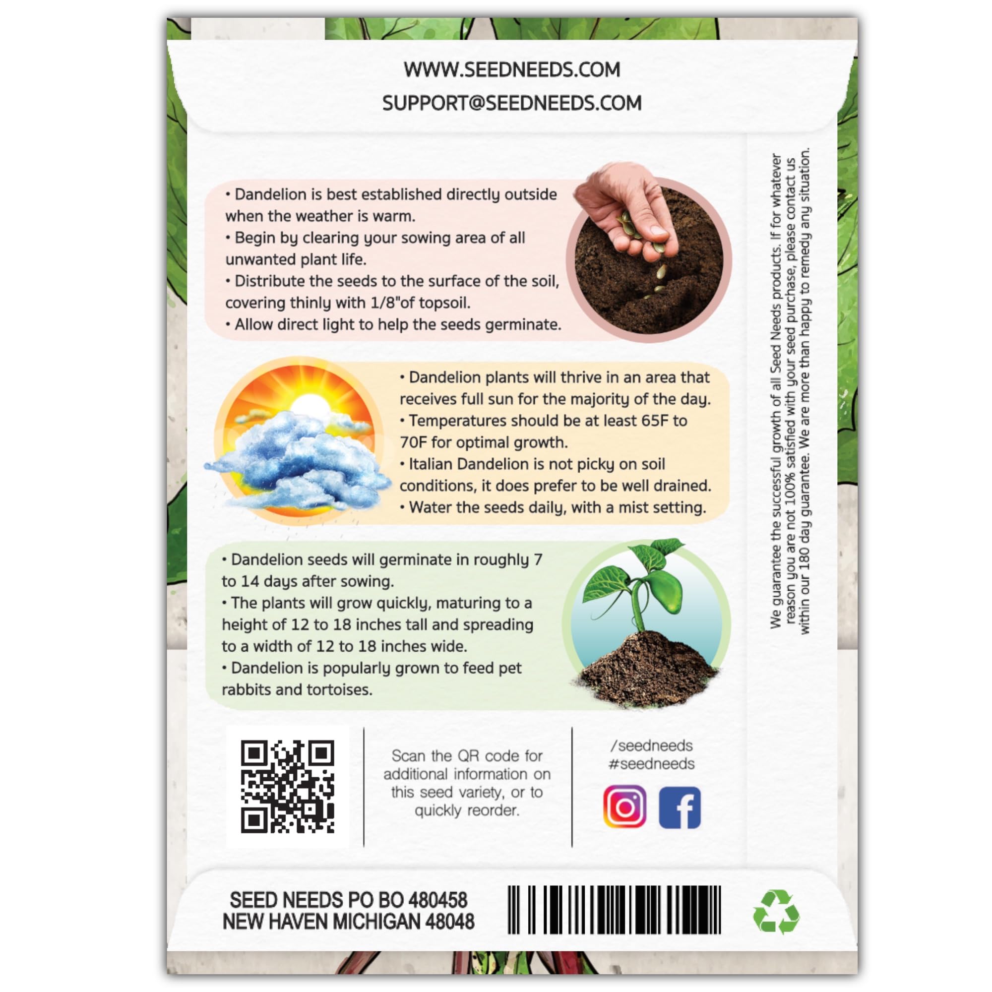 Semillas de diente de león de tallo de granate para plantar, sin OMG, hierbas tradicionales y no tratadas, cultiva tu propio alimento para tortugas, conejos y dragones barbudos (paquete de 2