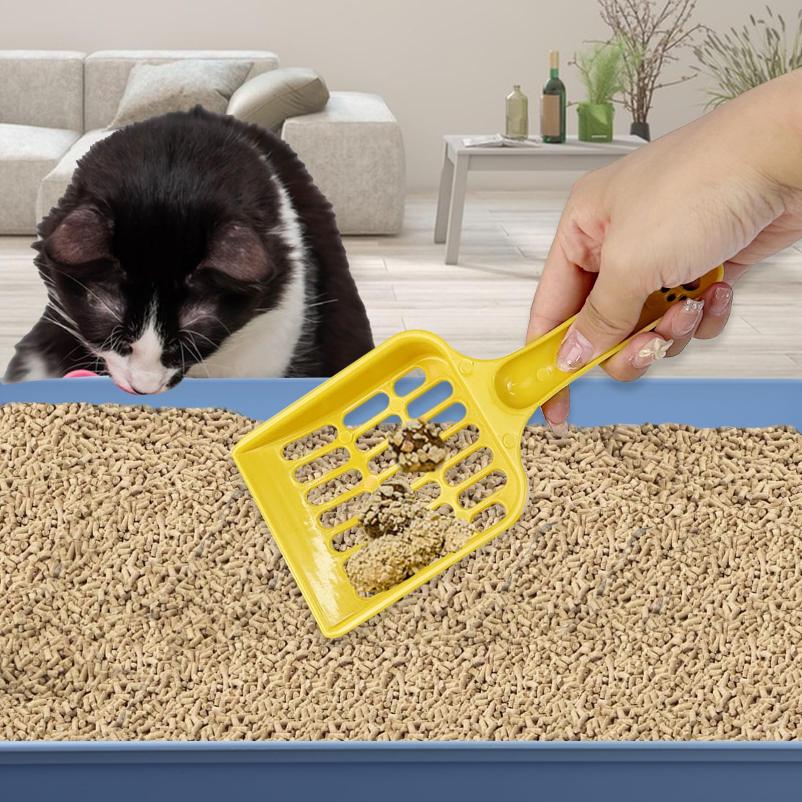 Katzentoilette, mittelgroß, offen, 38,1 x 26,1 x 4,1 cm, Kunststoff, Kätzchentoilette, niedriger Einstieg, Reise-Toilette für Katzen, Welpen, Kaninchen, Meerschweinchen, mehrfarbig, 5 Stück