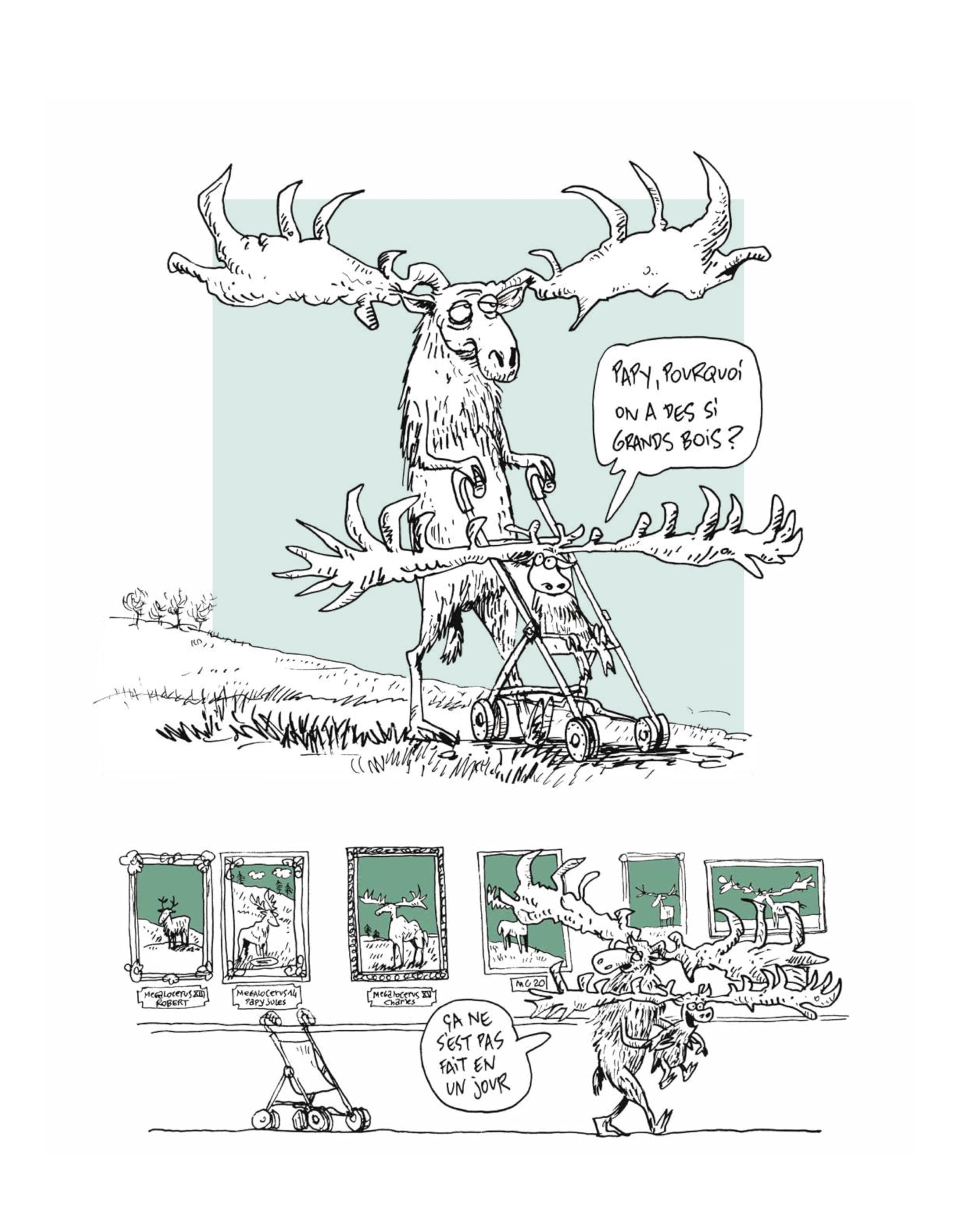 Dieu, Darwin, tout et n'importe quoi - Histoires naturelles