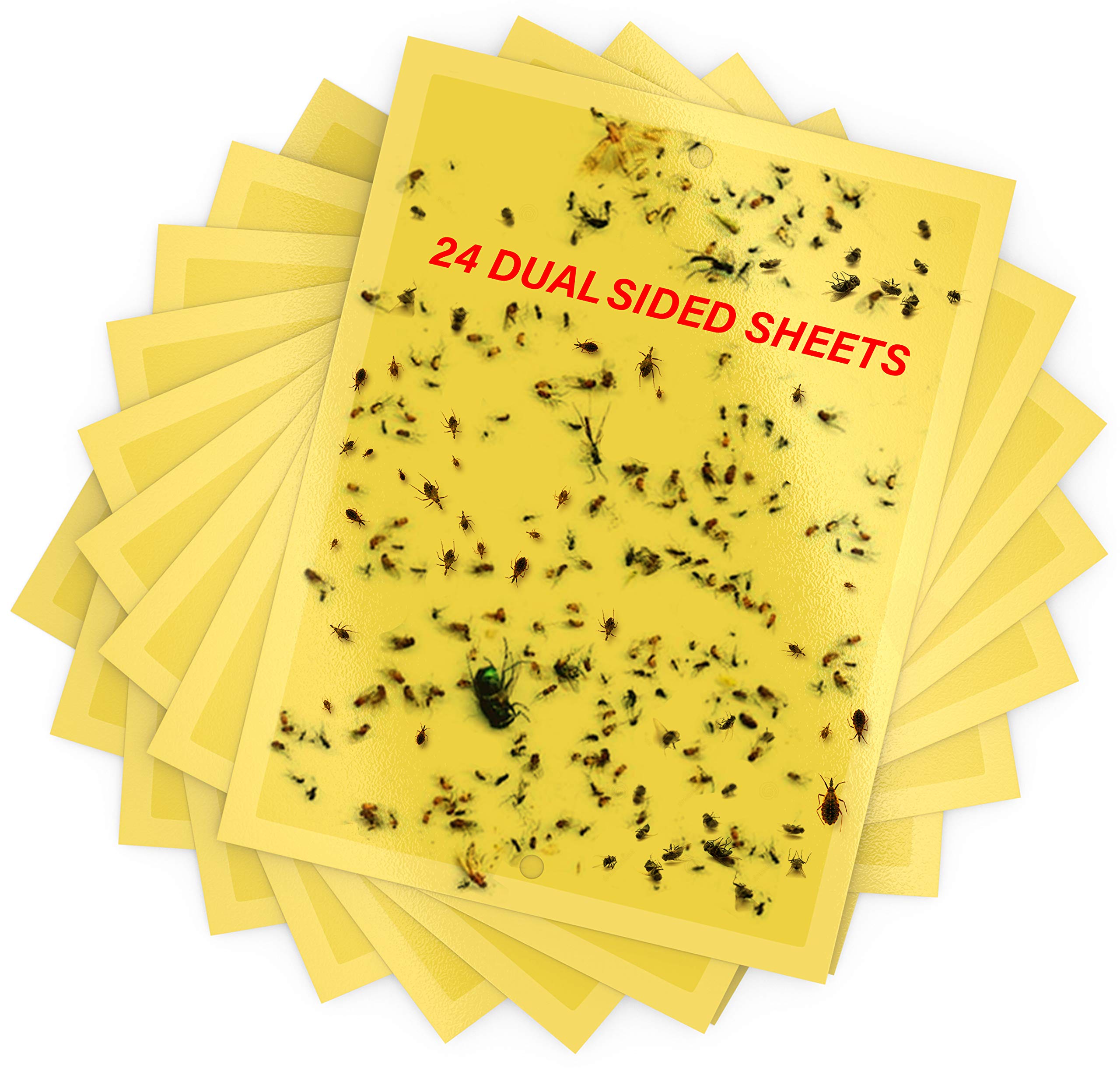 Dual-Sided Yellow Sticky Traps 6 x 8 inch- Sticky Traps for Fungus Gnat, Flies , Aphids, Leaf Miners, Whiteflies, Thrips and Other Flying Insects 24 Pieces