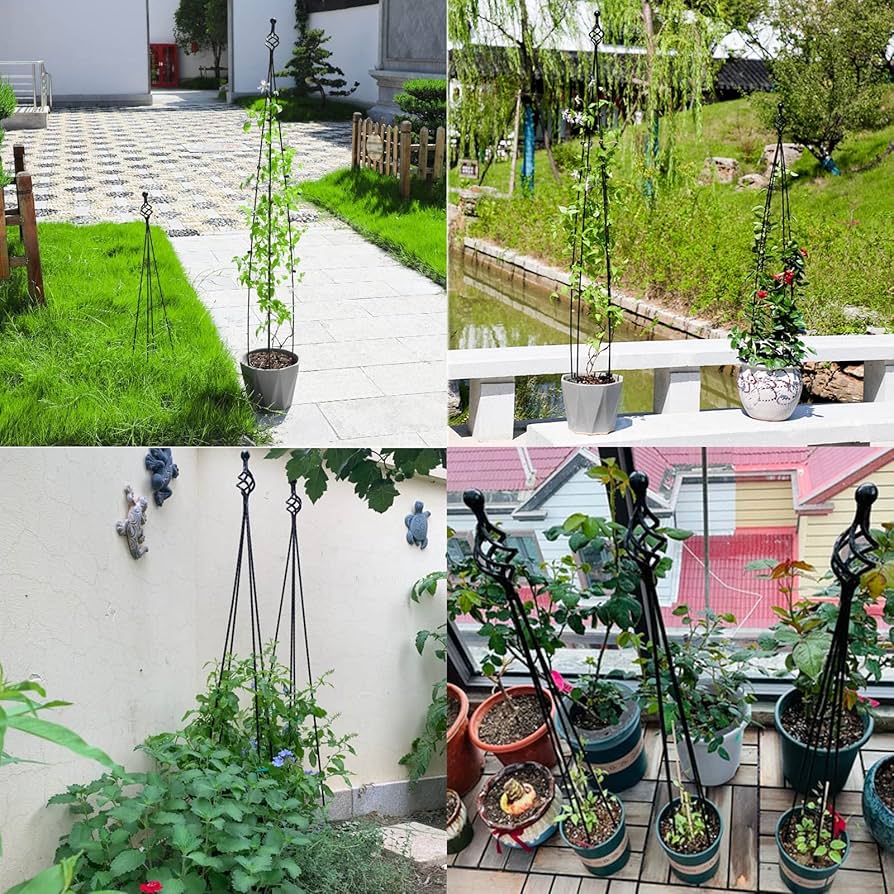 Amazon.co.jp: 植物サポートフレーム 植物支柱 鉄製 鉢植え