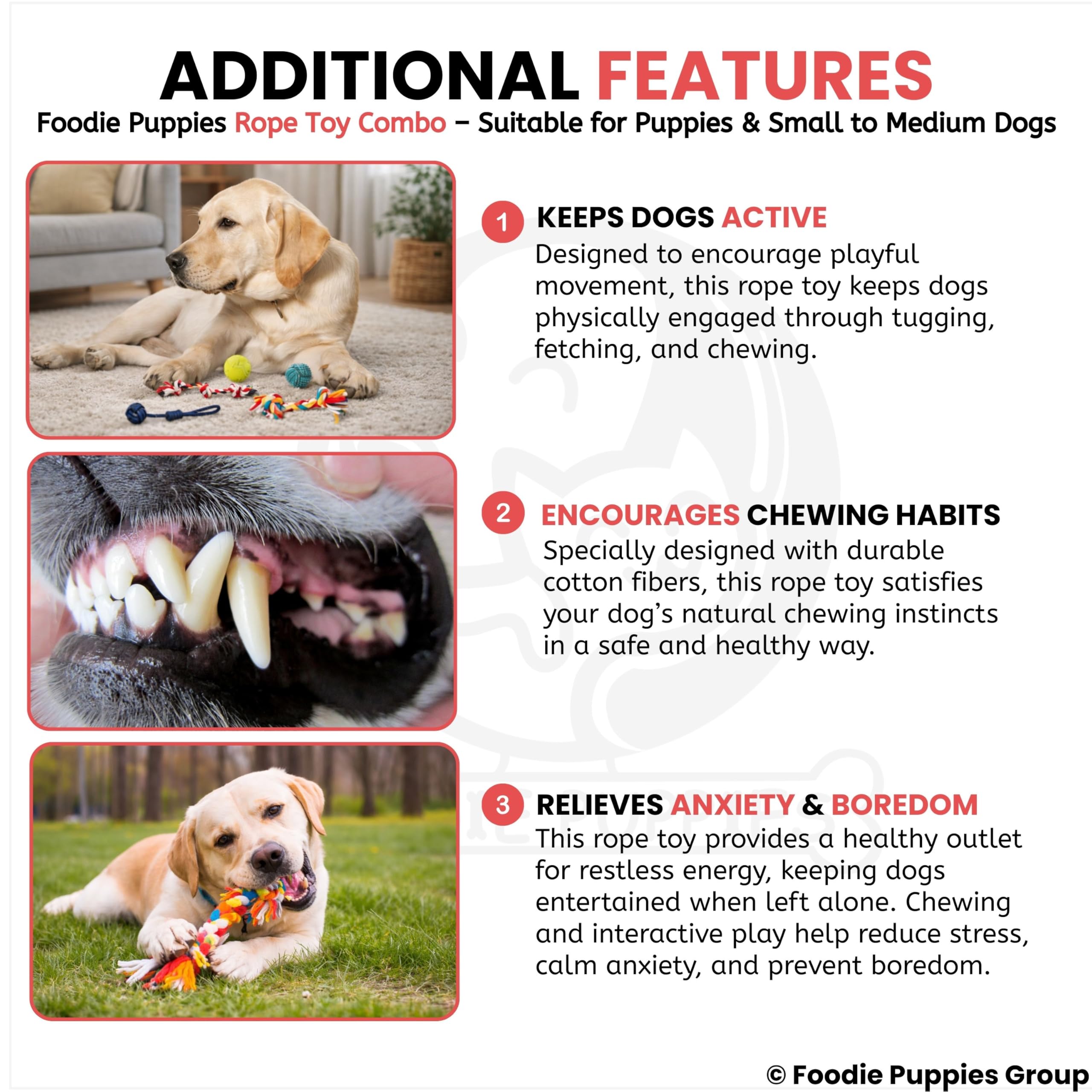 Foodie Puppies 5-in-1 chew Toy Combo Includes Ropes and Squeaky Balls, Supporting Teething, Training, Chewing, Fetching, and Active Play for Small Dogs. (Color May Vary) 3