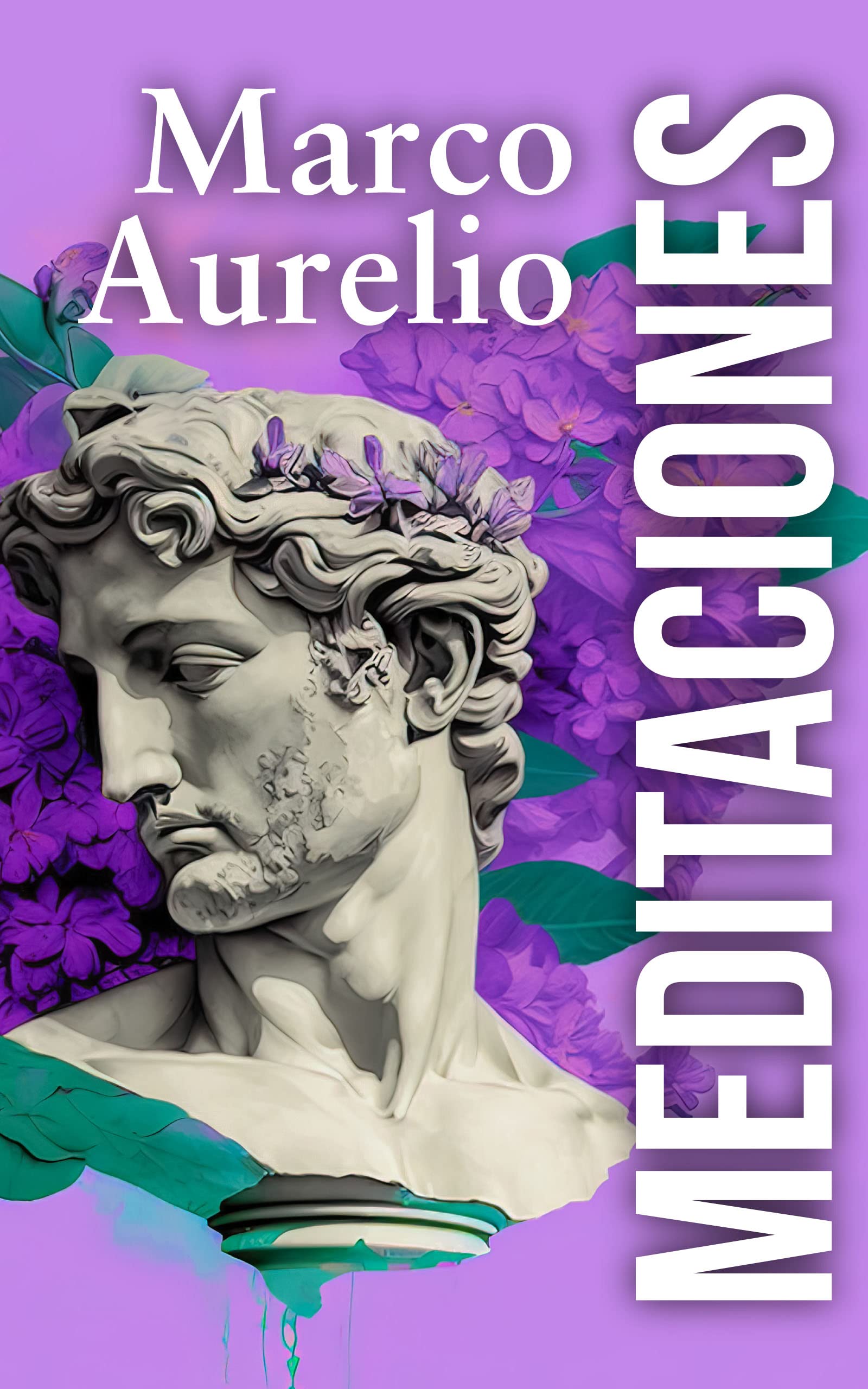 MEDITACIONES (Spanish Edition)