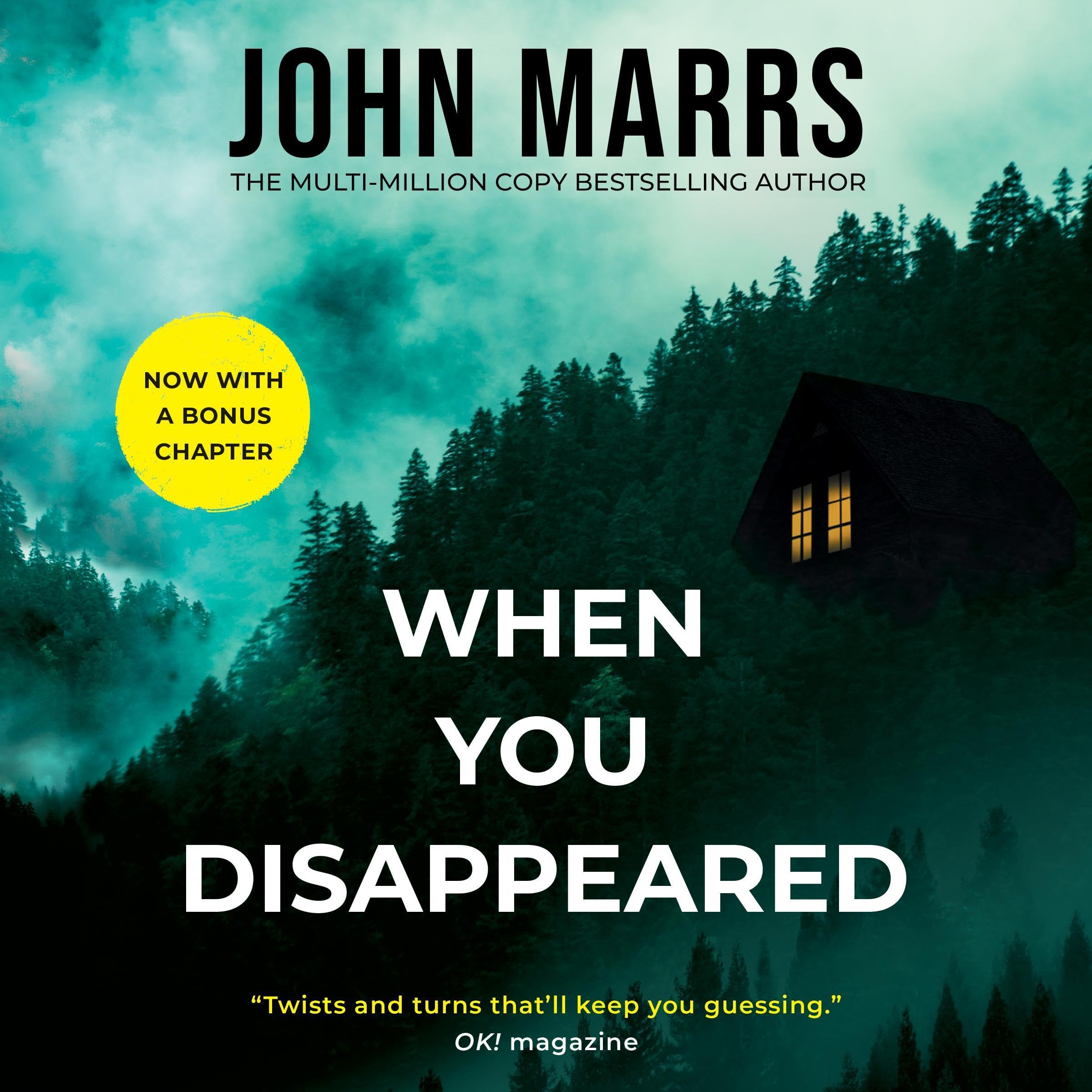 Cover art for When You Disappeared