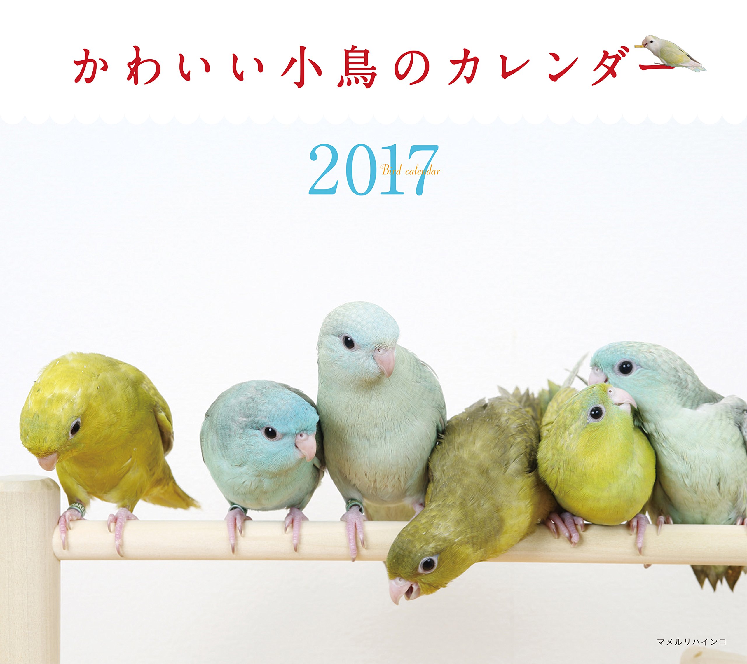 Amazon Co Jp 17年ミニカレンダー かわいい小鳥のカレンダー カレンダー 蜂巣 文香 文房具 オフィス用品