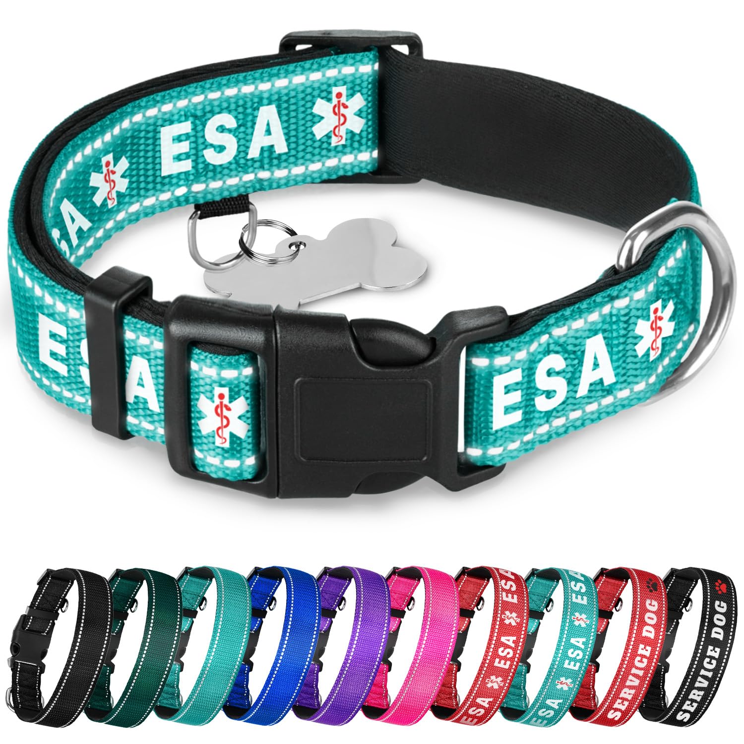 TECEUM Reflective Pet Collar – Teal - ESA – L – Extra Soft Padding – Basic Nylon Dog Collar – Quick Release Buckle – Fits Small, Medium and Large Dogs