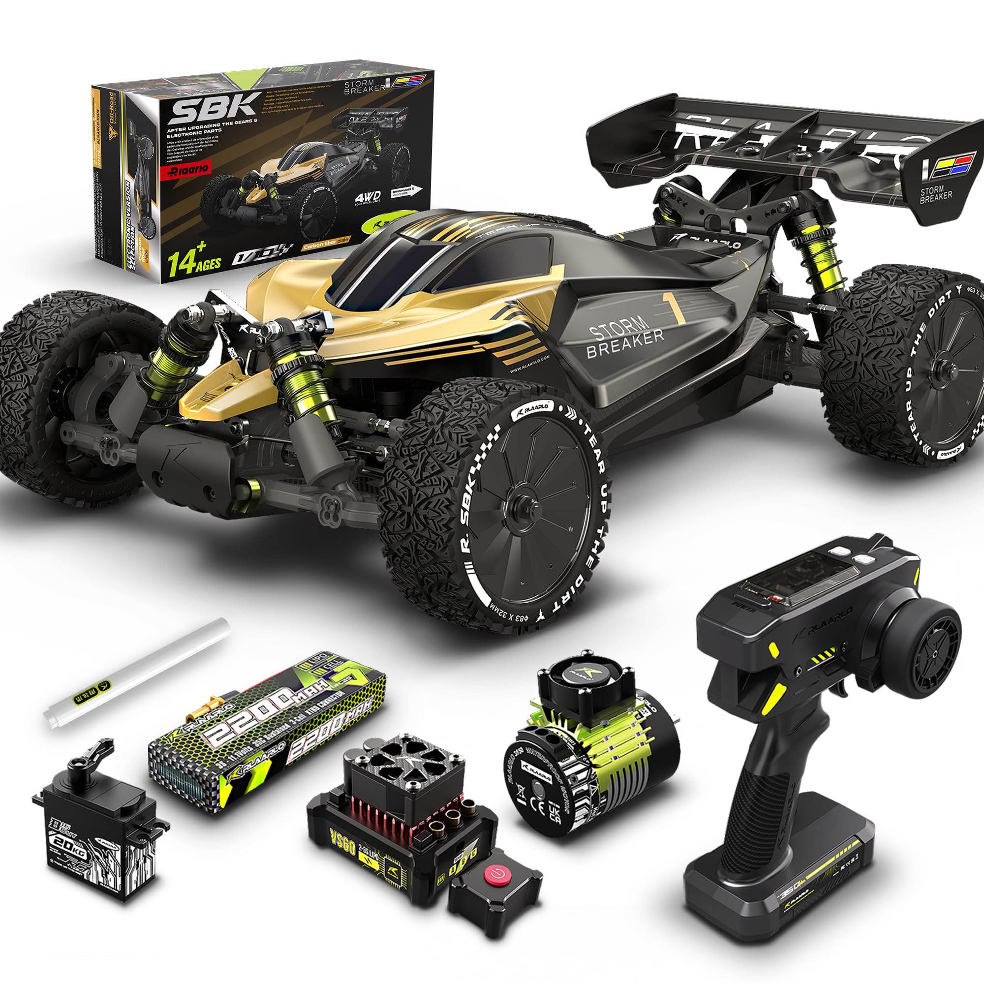 RIAARIO 1/10 Brushless RC Car RC BUGGY