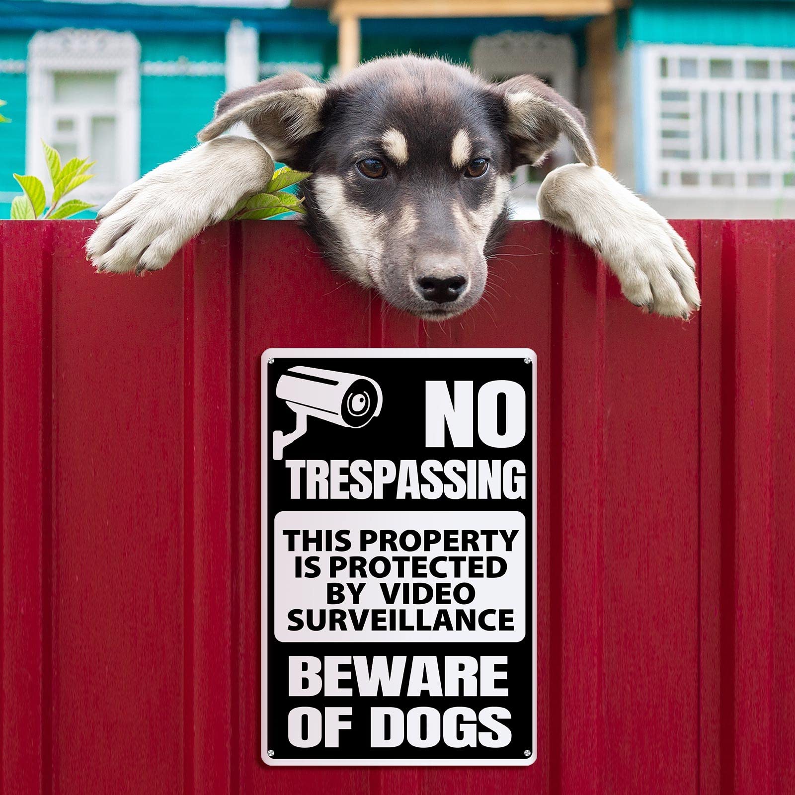 Loopeer 2 Stück Beware of Dog Schild für Zaun No Trespassing Schild Lustige Warndekoration Metall Rostfrei Warnschilder Hund Warnung Metall Blechschilder für Zaun Rasen Garten Hof Schilder Outdoor