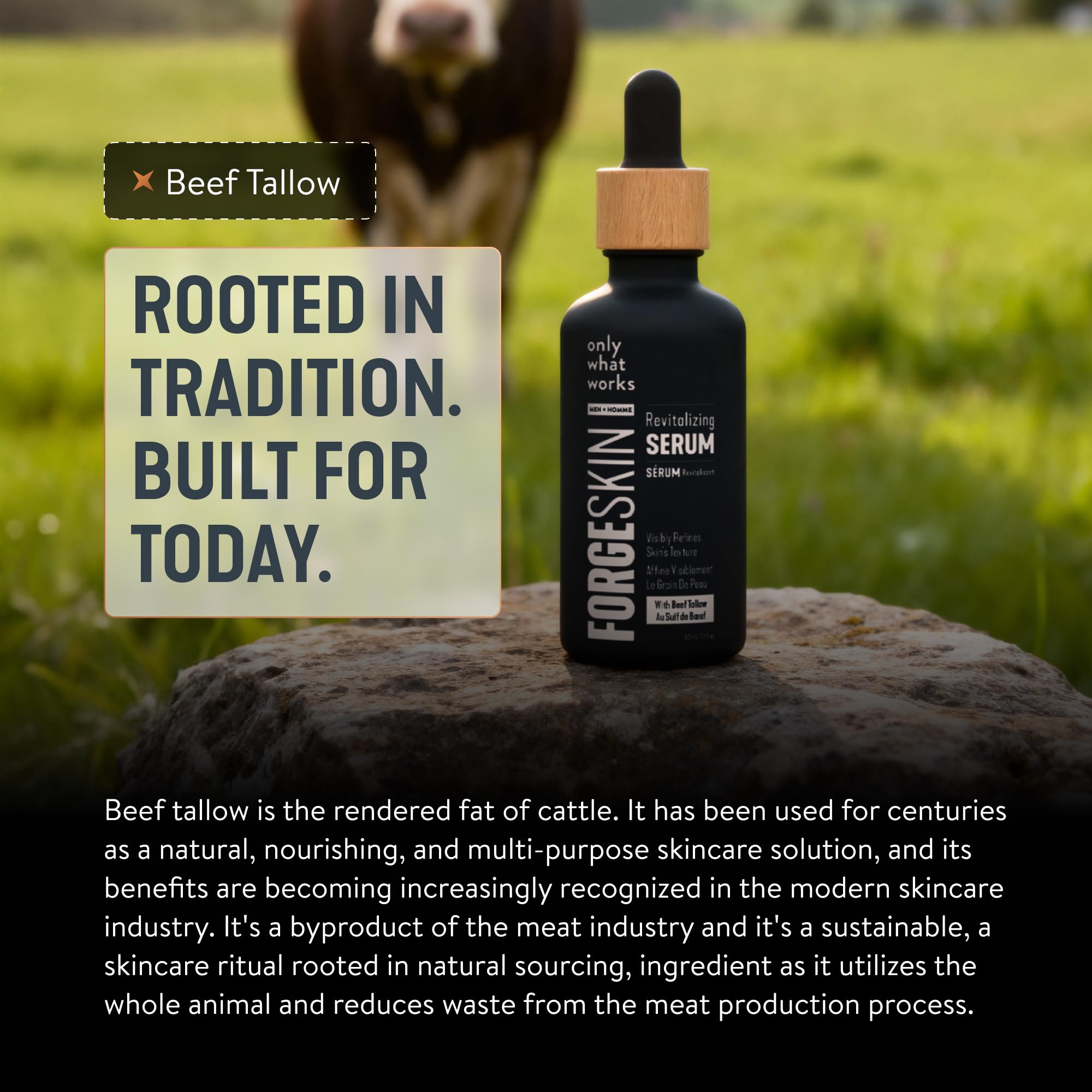 FORGE SKIN Night Beef Tallow Serum for Men [TALLOW-BASED] - Facial Essence for Face Wrinkles with Essential Oils - Natural Green Tea Skincare for Radiance and Skin Hydration (1.7 OZ)