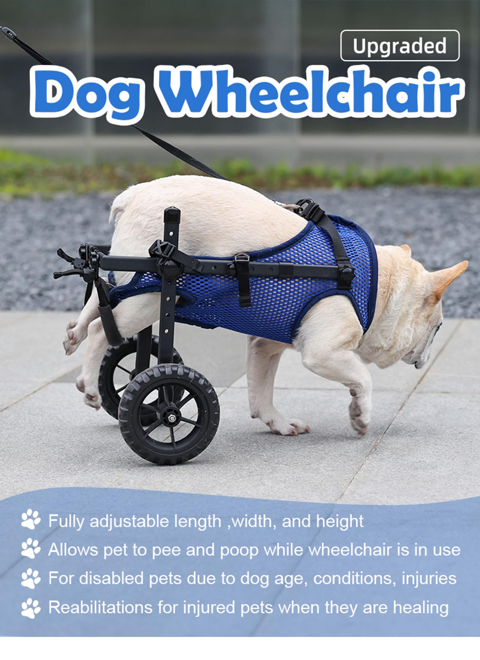Sedia a rotelle per cani, carrello regolabile per animali domestici con ruote per gambe posteriori, tutore per gambe e supporto per fianchi, aiuta piccoli animali domestici con arti posteriori