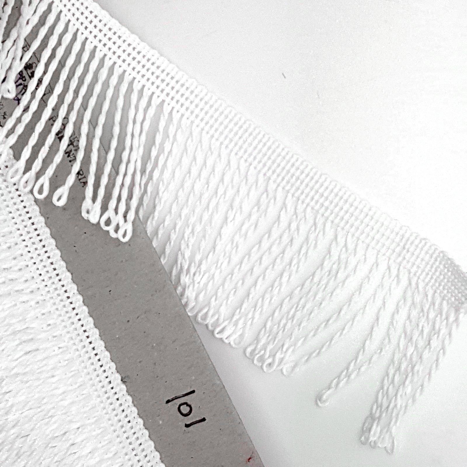 Fringe Tassel Trim, 10 metres x 60 mm Wide for Dance Dresses, Curtains, Lamps, Trimmings, Bags, Costumes, DIY (White 101)