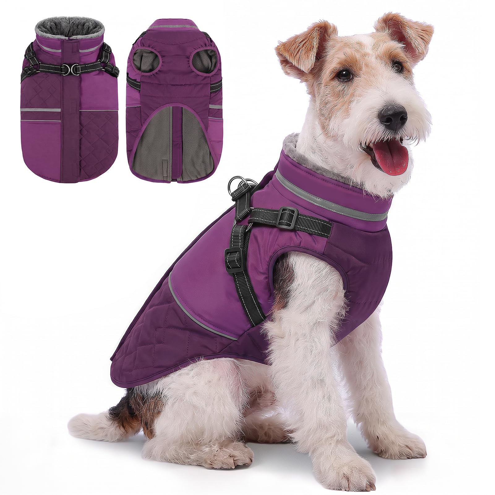 Queenmore Dog Coats For Small Dogs, With Built-In Harness, Purple, XS