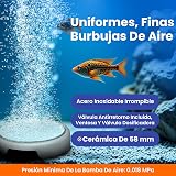 Ver la foto 2