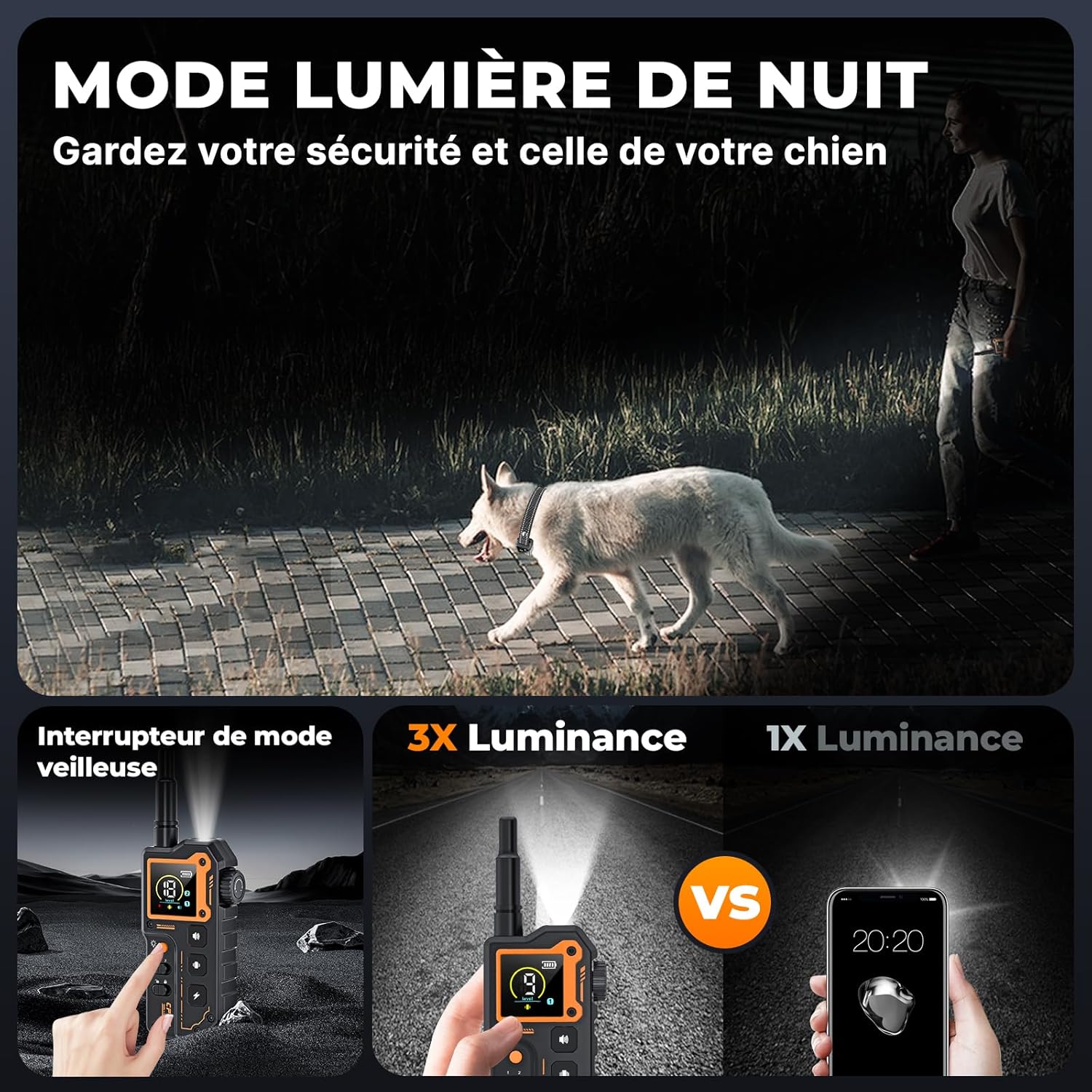 Conseils d’utilisation collier de dressage chien