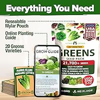 Vista 126 de HOME GROWN Semillas de diente de león para plantar 600 semillas de hierbas medicinales tradicionales (~ 0.01 oz) sin OMG cultivan hojas y flores