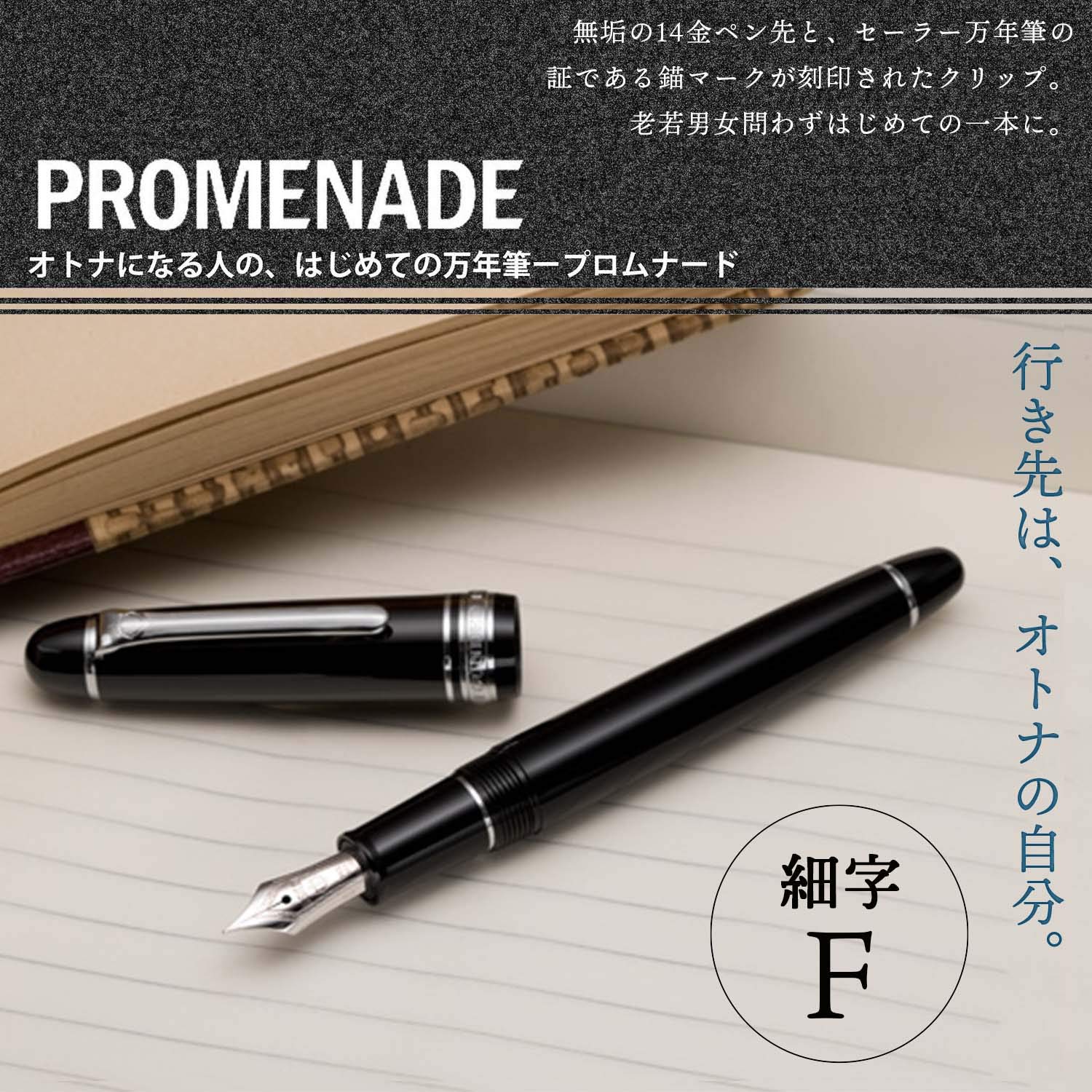 【廃番品】セーラー万年筆 プロムナード　太字　14K　DIMEのBEAMS万年筆 Amazon | セーラー万年筆 万年筆 プロムナード シルバートリム