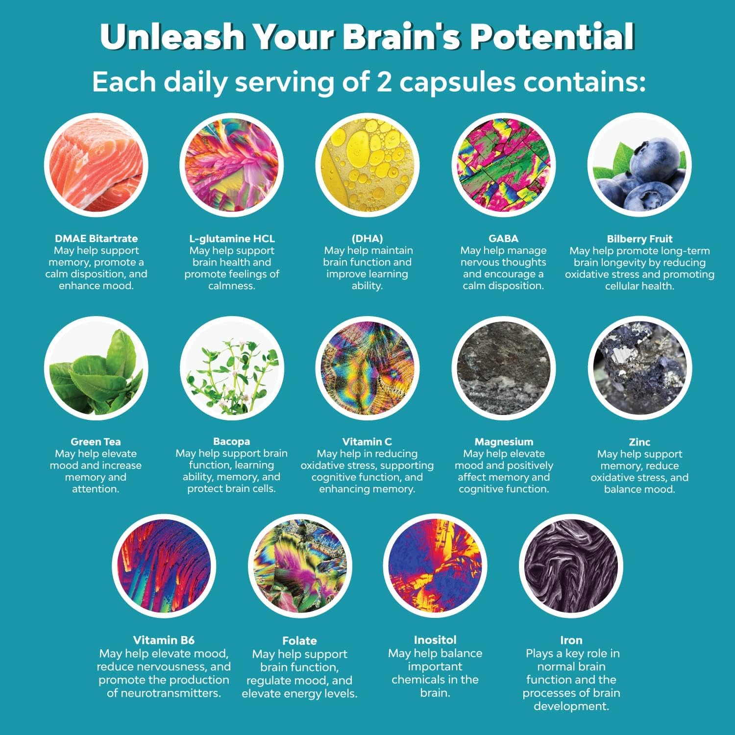 Natural Mind and Memory Supplement for Increased Mental Performance and Clarity Supports Brain Function Made with Pure Green Tea Extract DMAE Bitartrate and Vitamins 60 Capsules by Natures Craft
