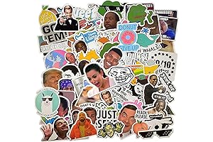 (122 Pcs) Funny Meme Vinyl Stickers Pack for Laptop, iPhone, Water Bottles,...