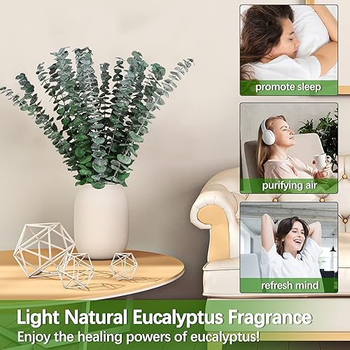 Miniatura 2 de HIAGROW Tallos de eucalipto real 20 hojas de eucalipto secas de 17 pulgadas, decoración de eucalipto natural, decoración de primavera para bodas,