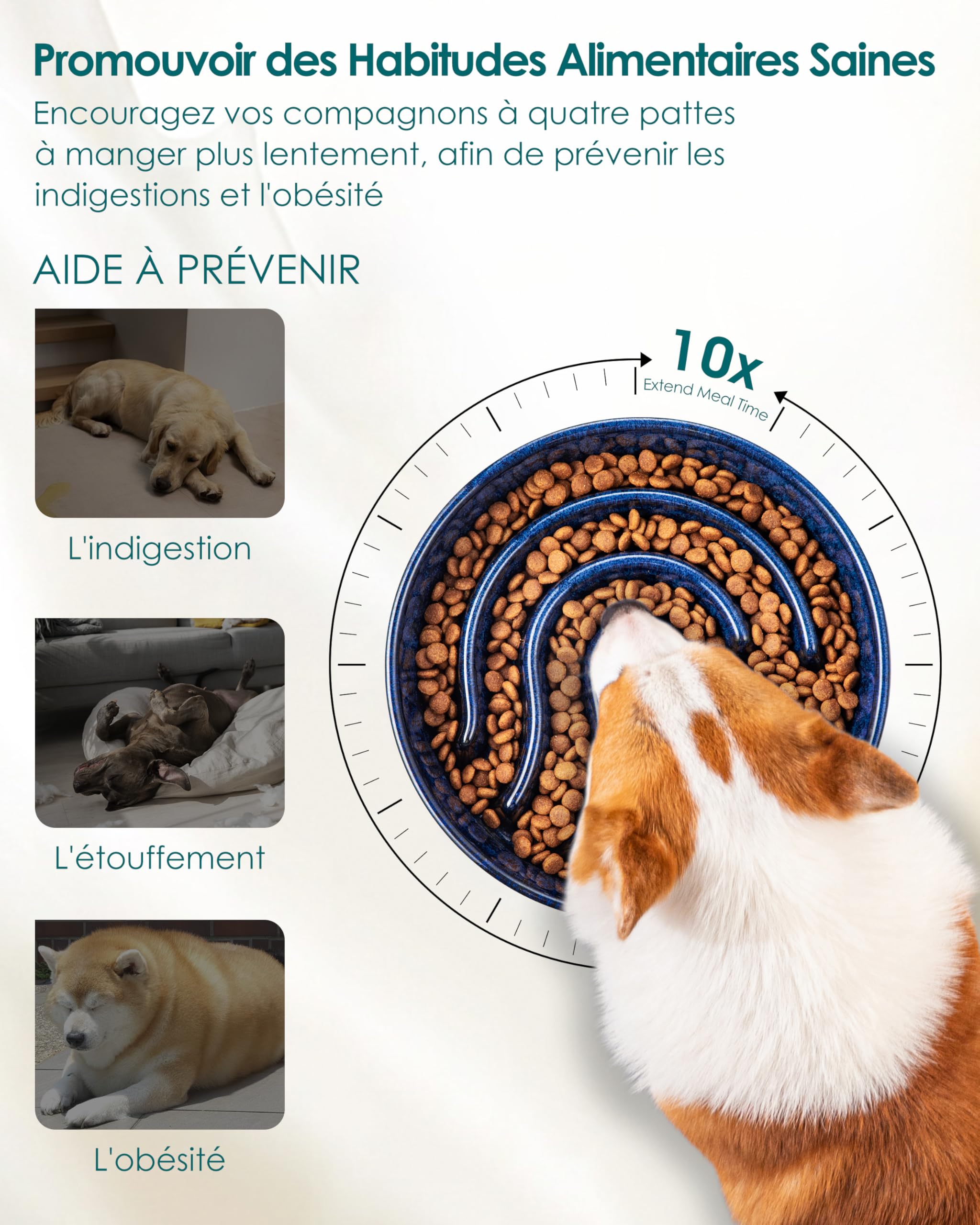 vancasso Gamelle Anti Glouton pour Chien, 960ml Gamelle pour Moyen Chien, Gamelle Chien Céramique Favorise Alimentation Saine et Digestion Lente, Bleu